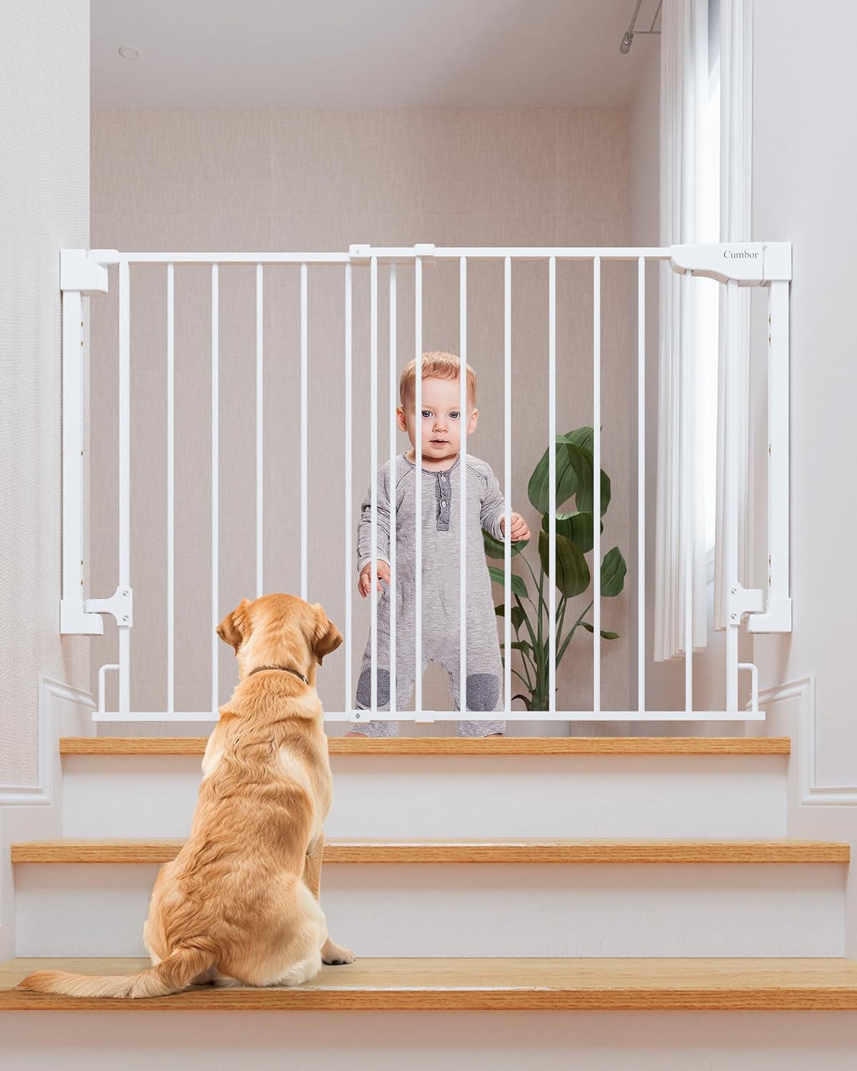Cumbor | Safety Gate | No Bottom Bar | 29.2-43" | White - aborderproducts