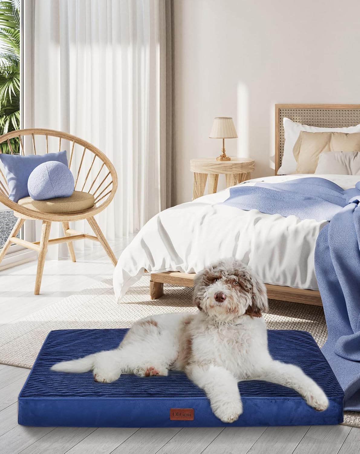 OhGeni | Dog Bed | 35 Inch | Navy - aborderproducts