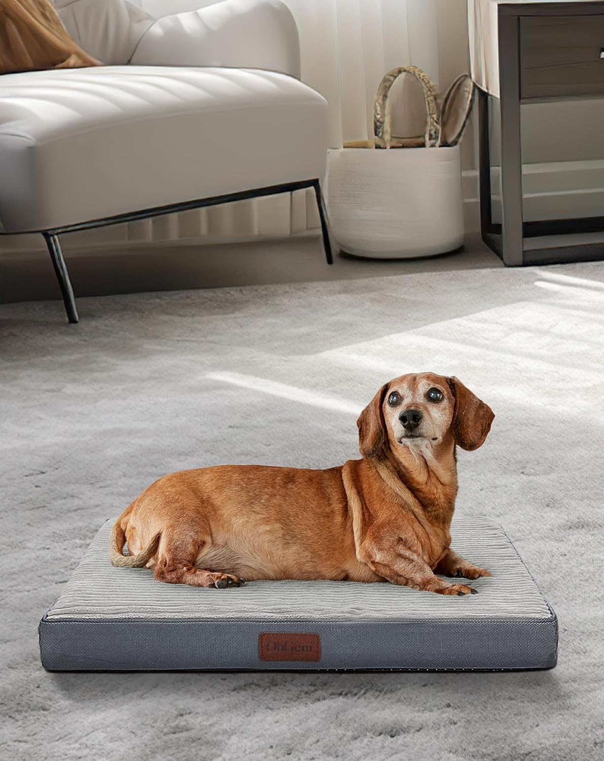 Dog Bed with Egg Crate Foam| Small (24 x 16 x 3 Inch)|Gray|OhGeni - aborderproducts