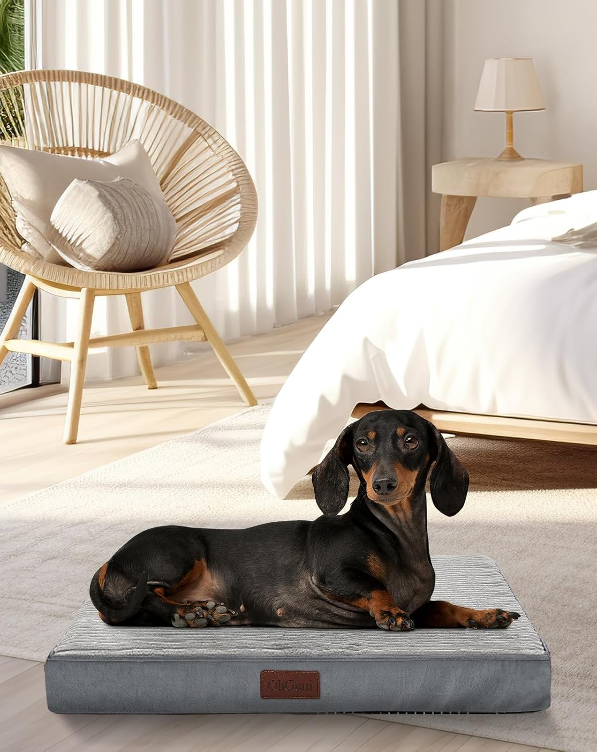 OhGeni | Dog Bed | 24 Inch | Gray - aborderproducts