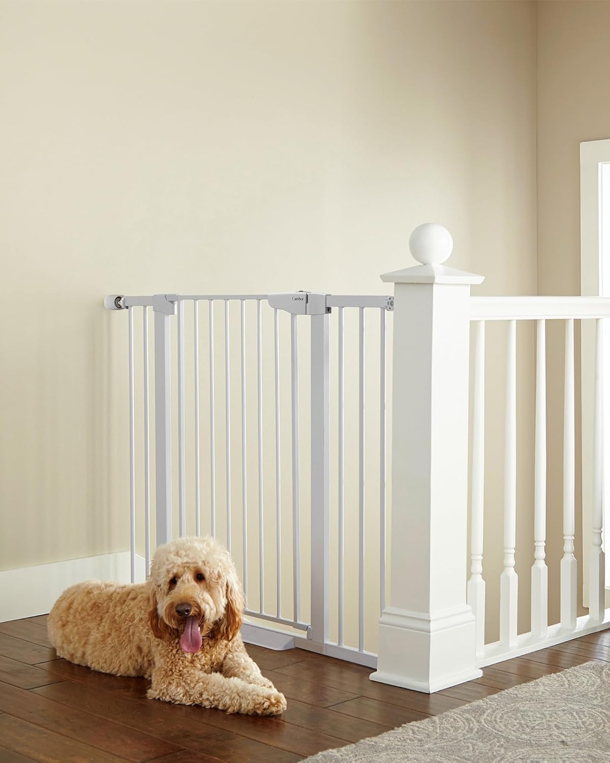 CUMBOR | SAFETY GATE | 29.7-46"W x 36"H | White - aborderproducts