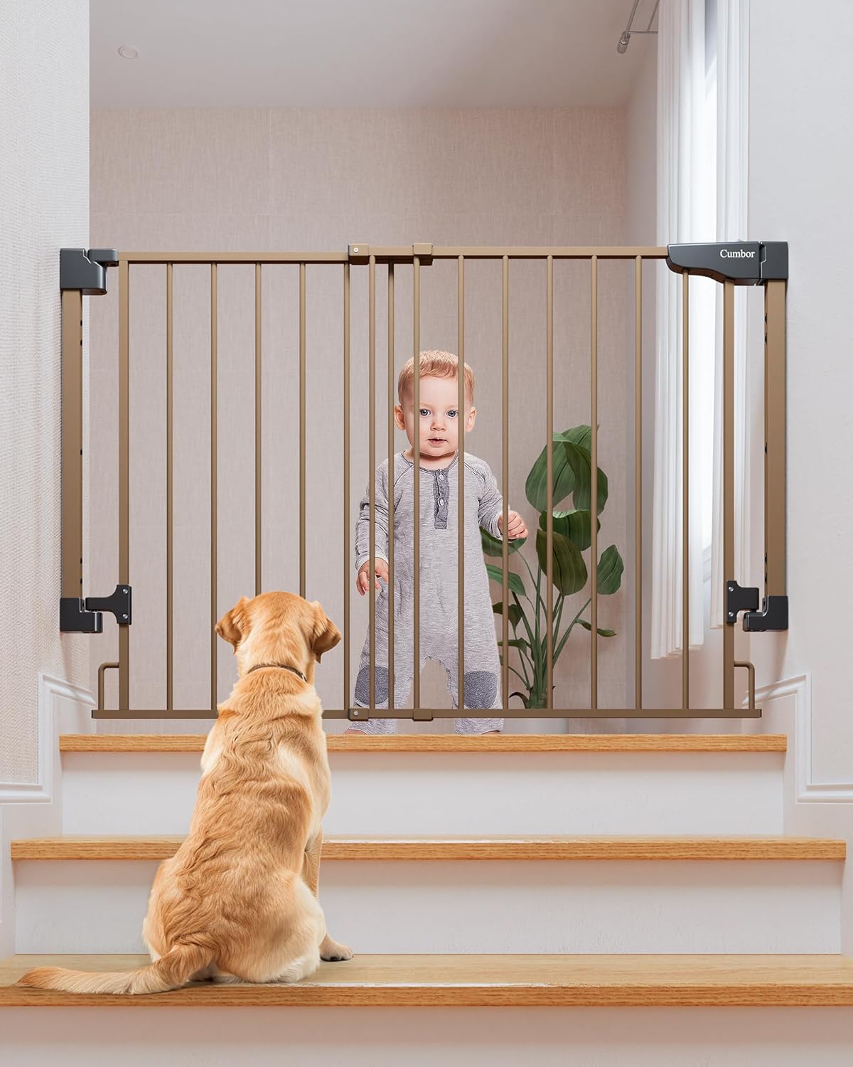Cumbor | Safety Gate | No Bottom Bar | 29.2-43" | Brown - aborderproducts