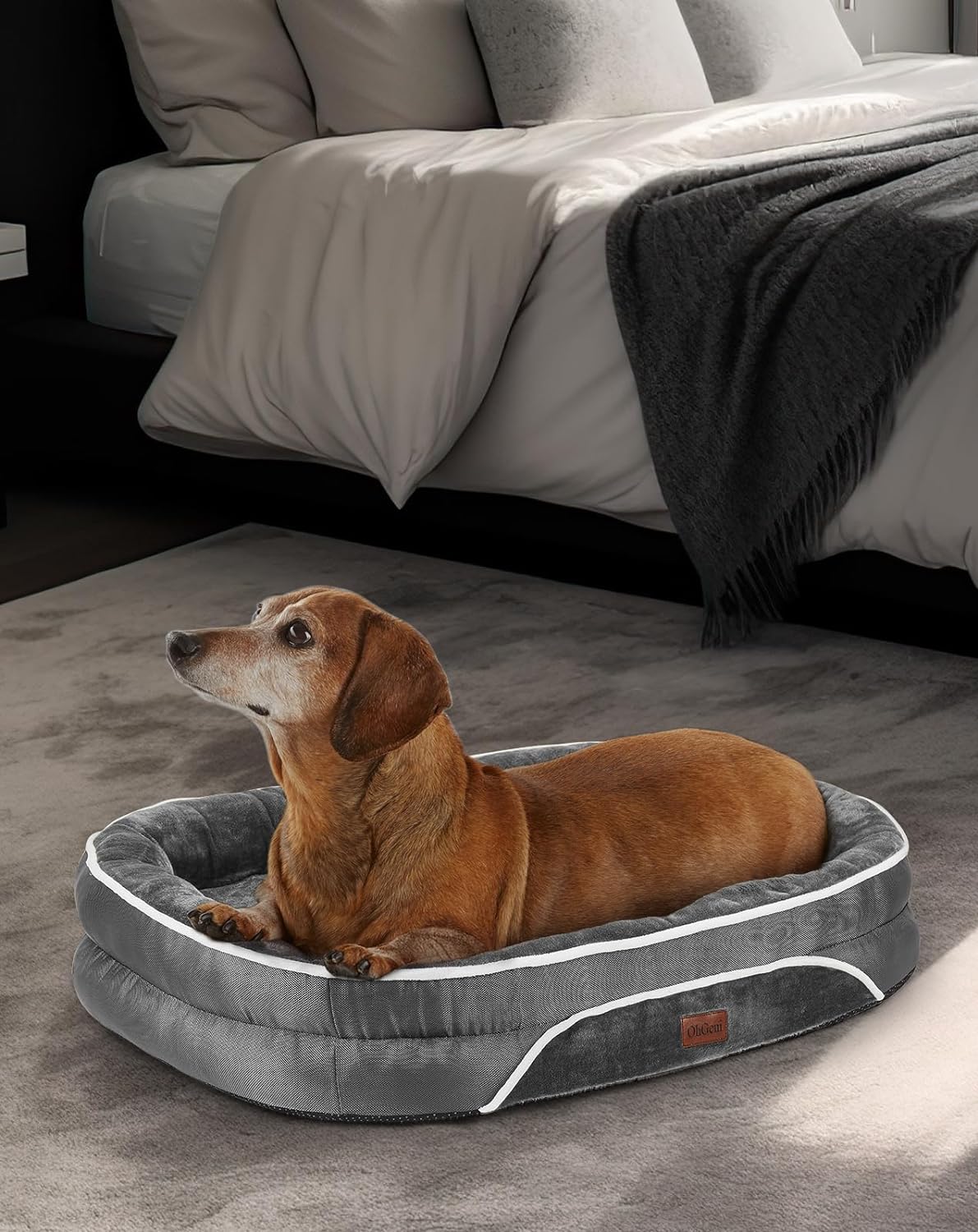 Orthopedic Dog Bed Small 22 x 16 x 5 Inch Gray OhGeni aborderproducts