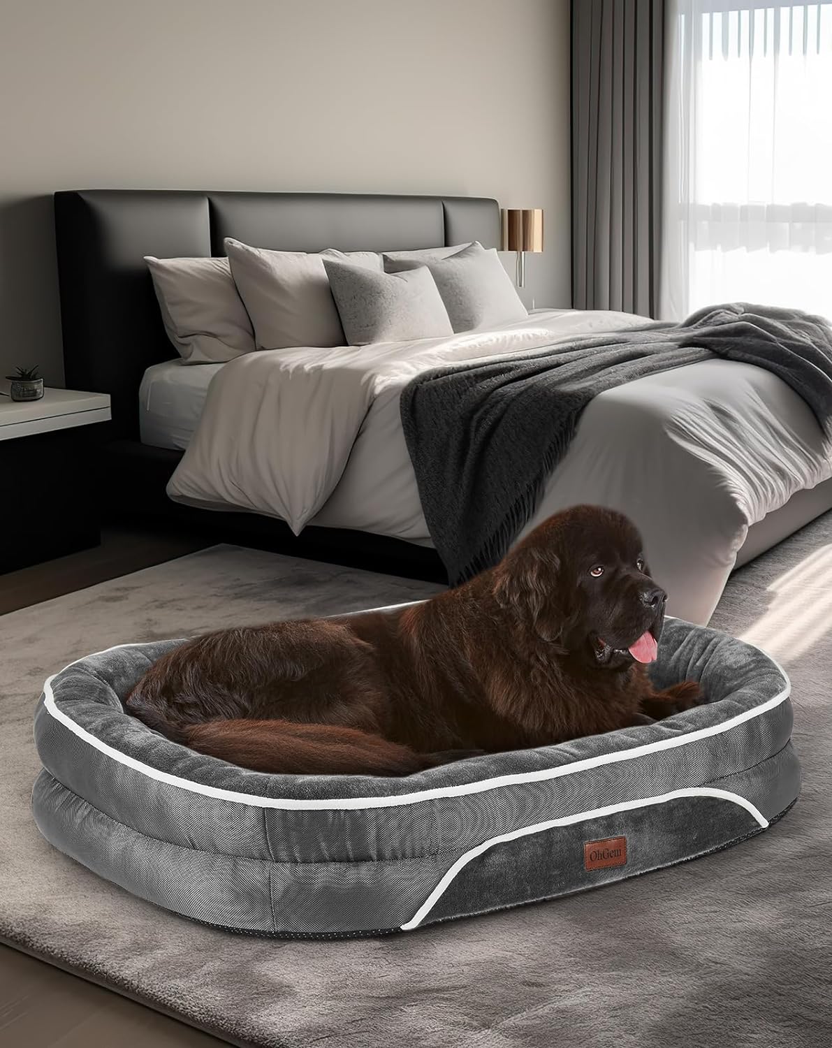 Orthopedic Dog Bed| XX-Large (48 x 35 x 7.5 Inch)|Gray|OhGeni |  aborderproducts