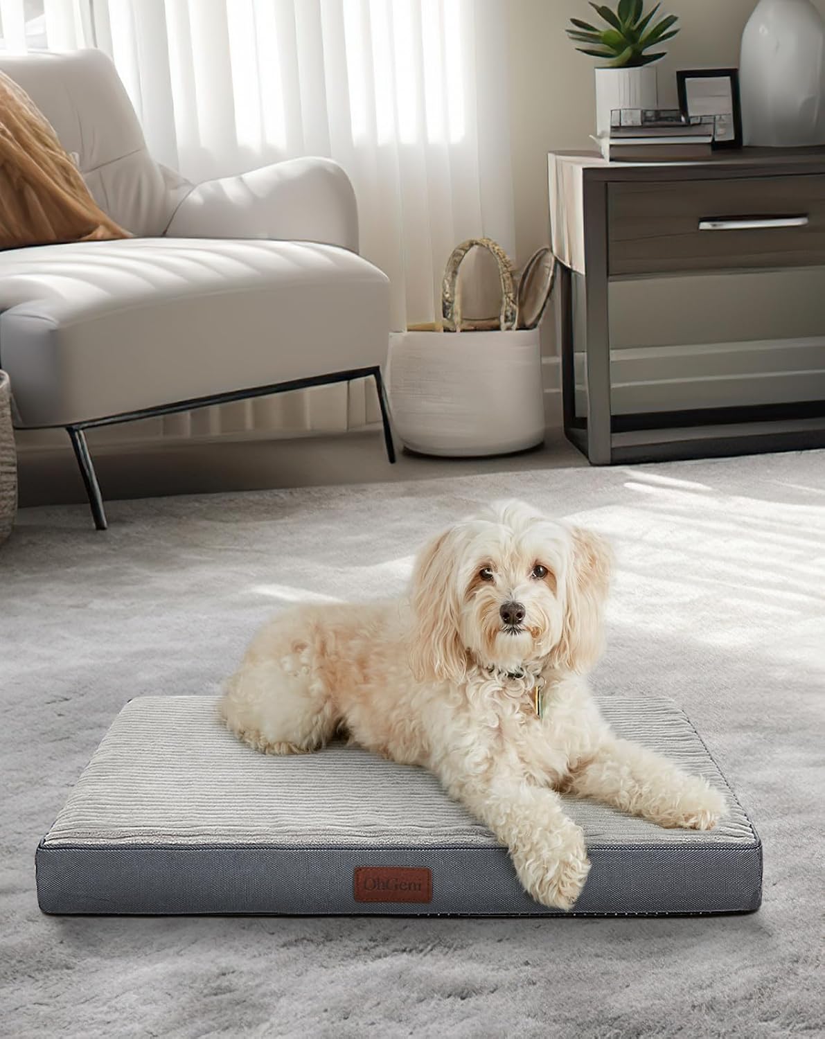 OhGeni | Dog Bed | 30 Inch | Gray - aborderproducts
