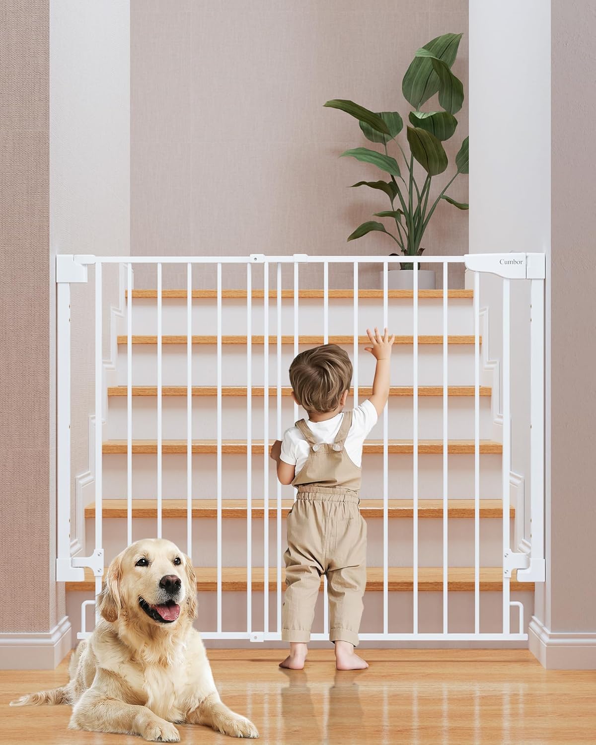 Cumbor | Safety Gate | No Bottom Bar | 34" x 29.2-43" | White - aborderproducts
