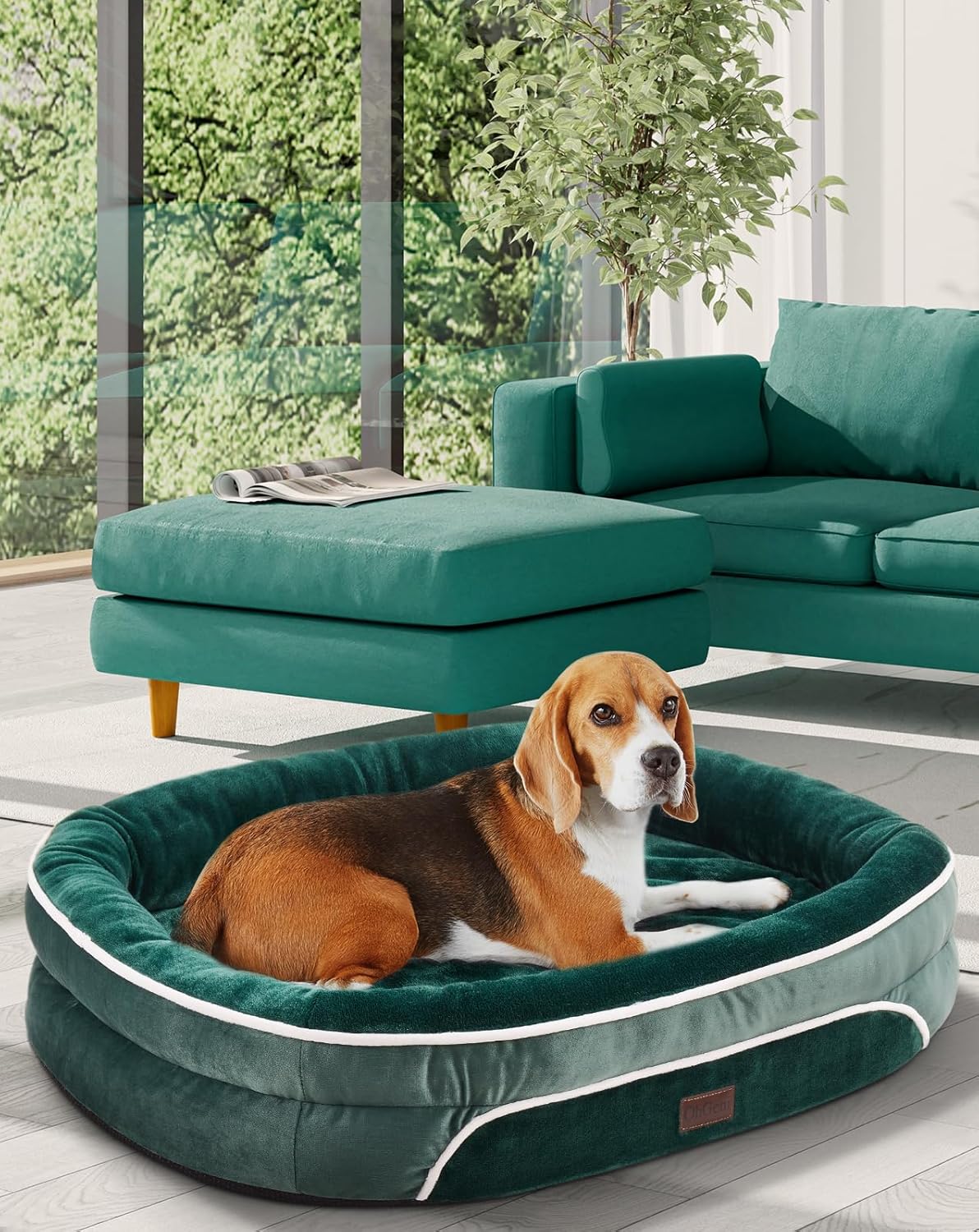 OhGeni | Orthopedic Dog Bed | Large (35 x 28 x 6 Inch) | Dark Green - aborderproducts