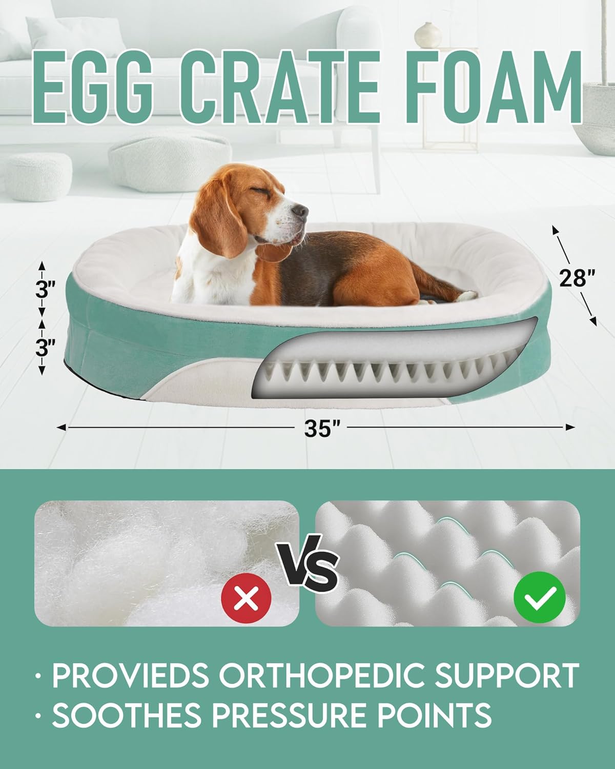 OhGeni | Orthopedic Dog Bed | Large (35 x 28 x 6 Inch) | Turquoise - aborderproducts