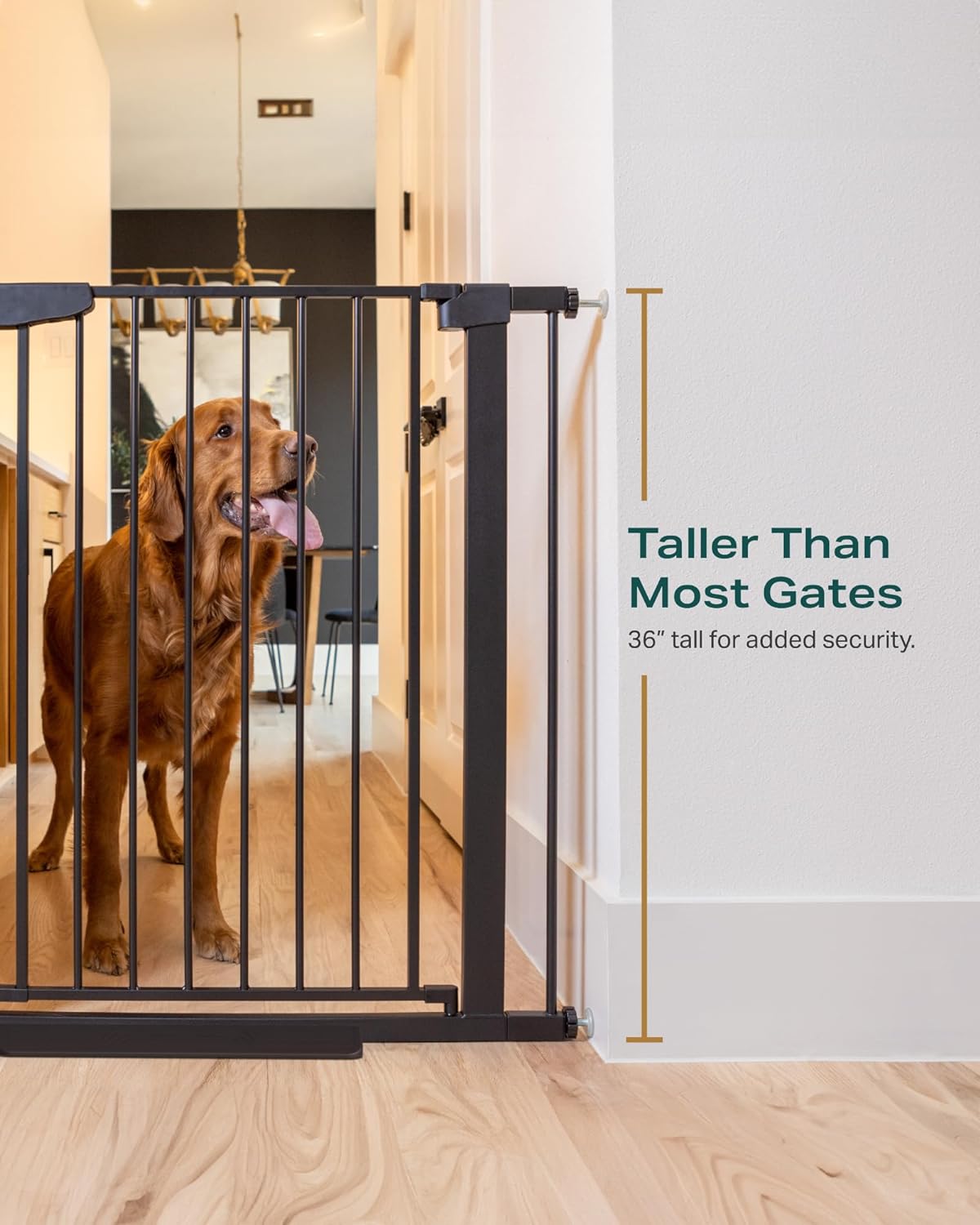 CUMBOR | SAFETY GATE | 29.7"-51.5"W x 36"H | BLACK - aborderproducts