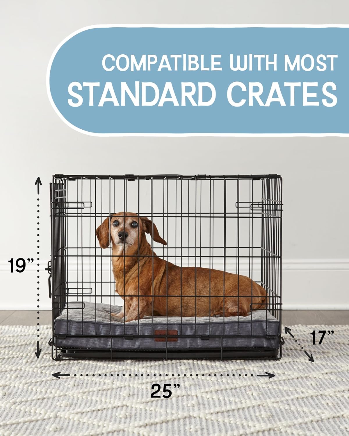 OhGeni | Orthopedic Waterproof Dog Bed | 24 Inch | Gray - aborderproducts