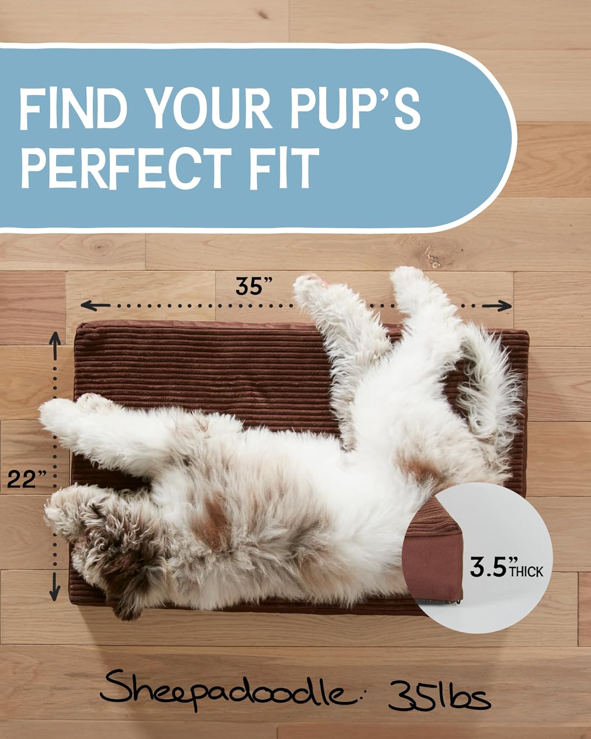Dog Bed with Egg Crate Foam| Large (35 x 22 x 3.5 Inch)|Brown|OhGeni - aborderproducts