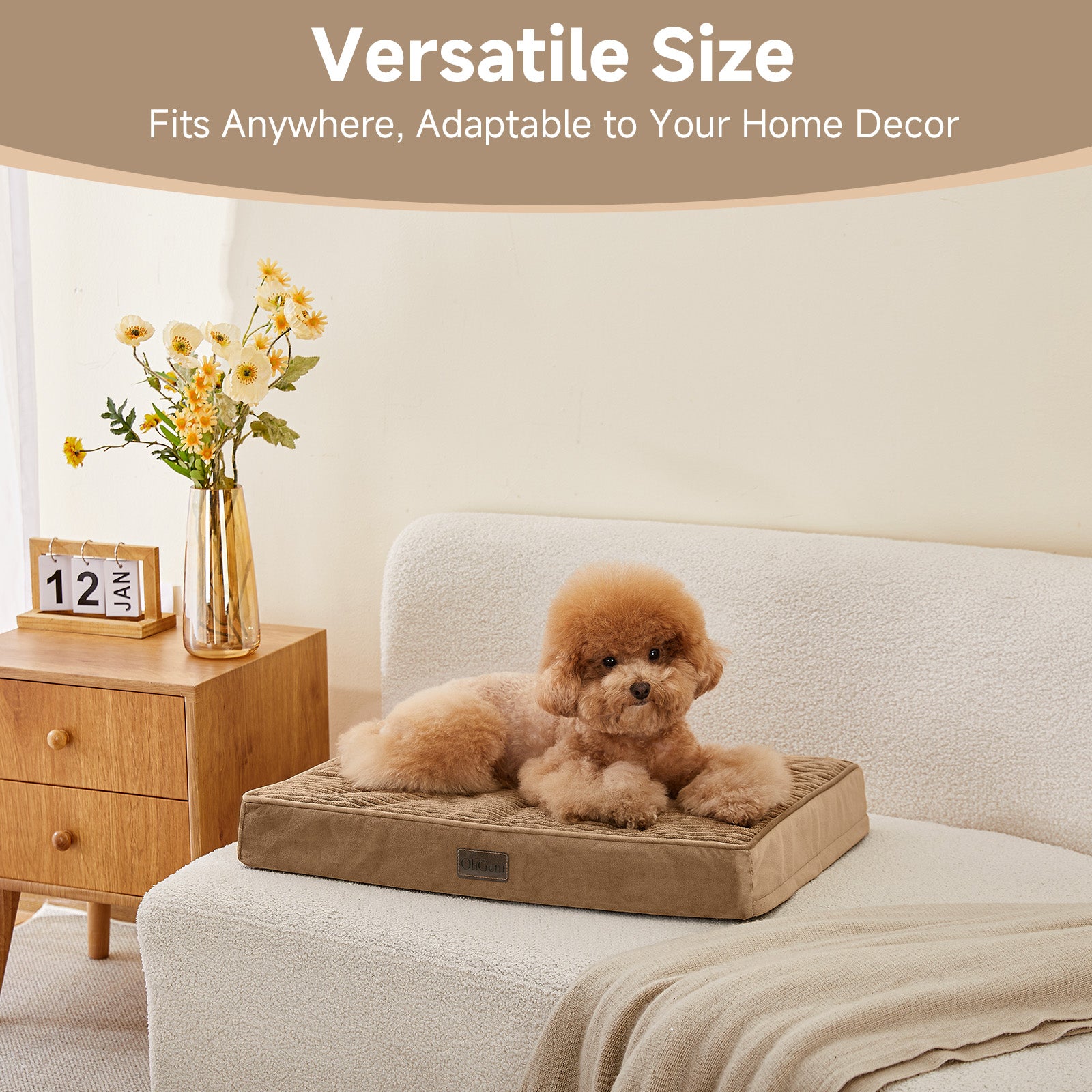 OhGeni | Orthopedic Waterproof & Machine Washable Dog Bed | 24 Inches | Coffee
