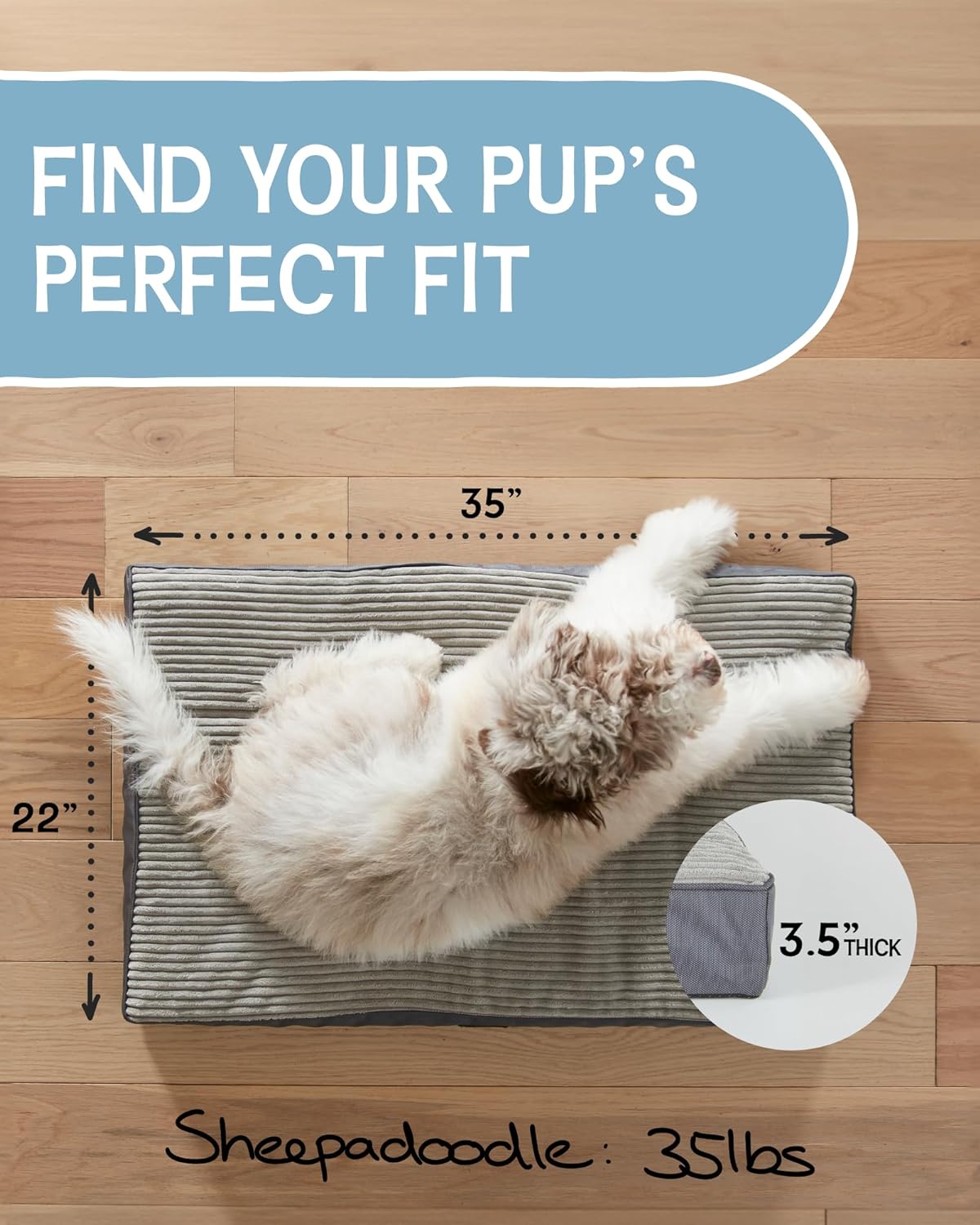Dog Bed with Egg Crate Foam| Large (35 x 22 x 3.5 Inch)|Gray|OhGeni - aborderproducts