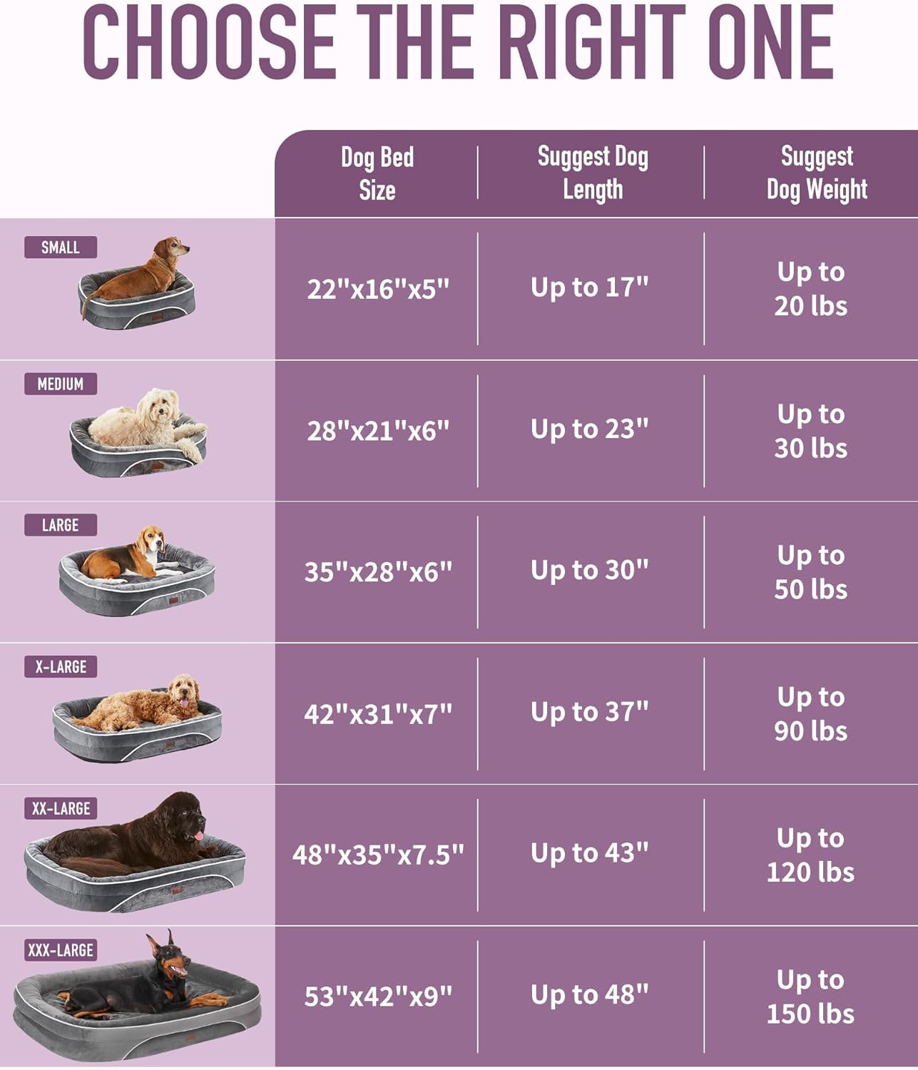 OhGeni | Orthopedic Dog Bed | Large (35 x 28 x 6 Inch) | Purple - aborderproducts