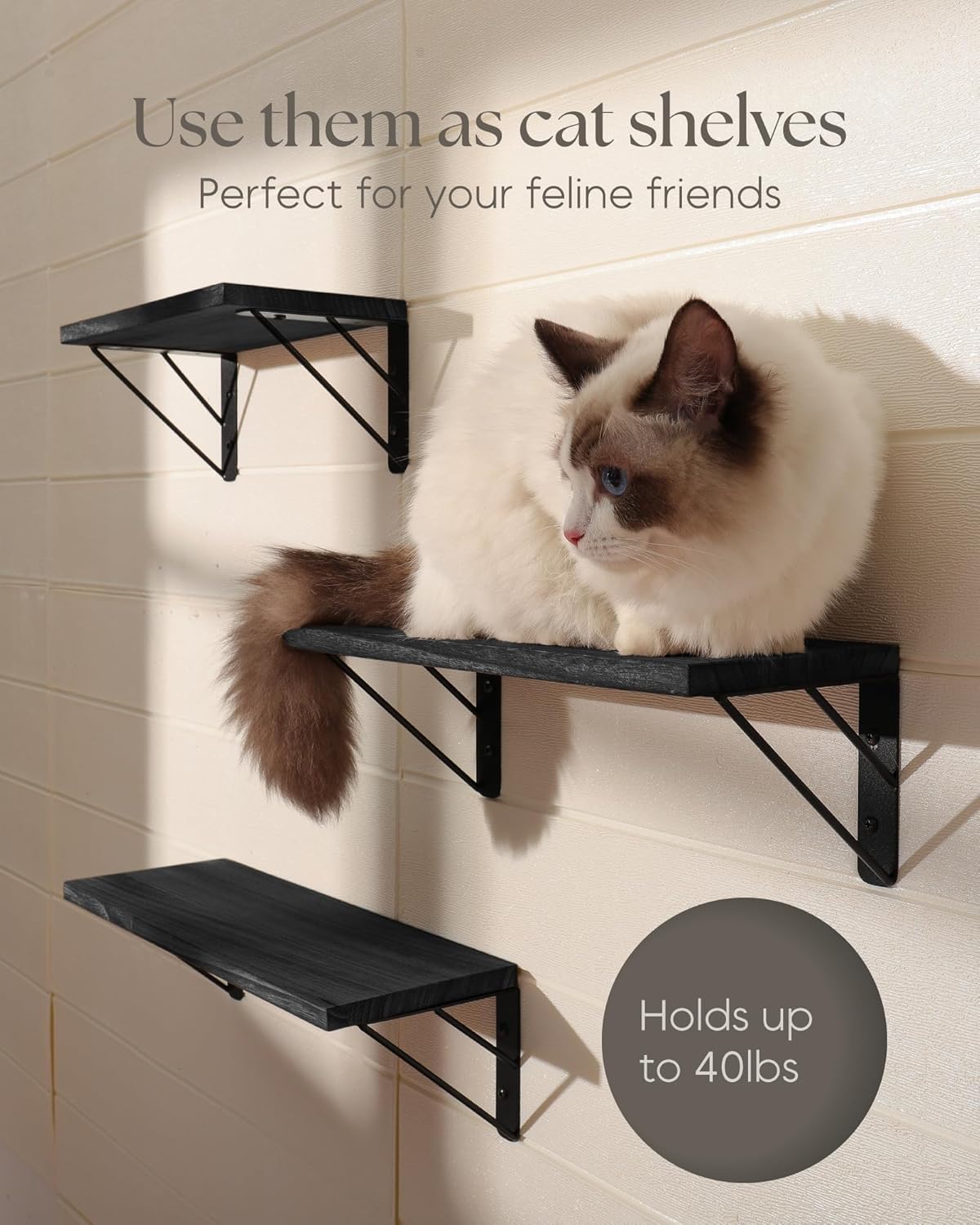 BAYKA | Floating Shelves | Set of 3 | Black - aborderproducts