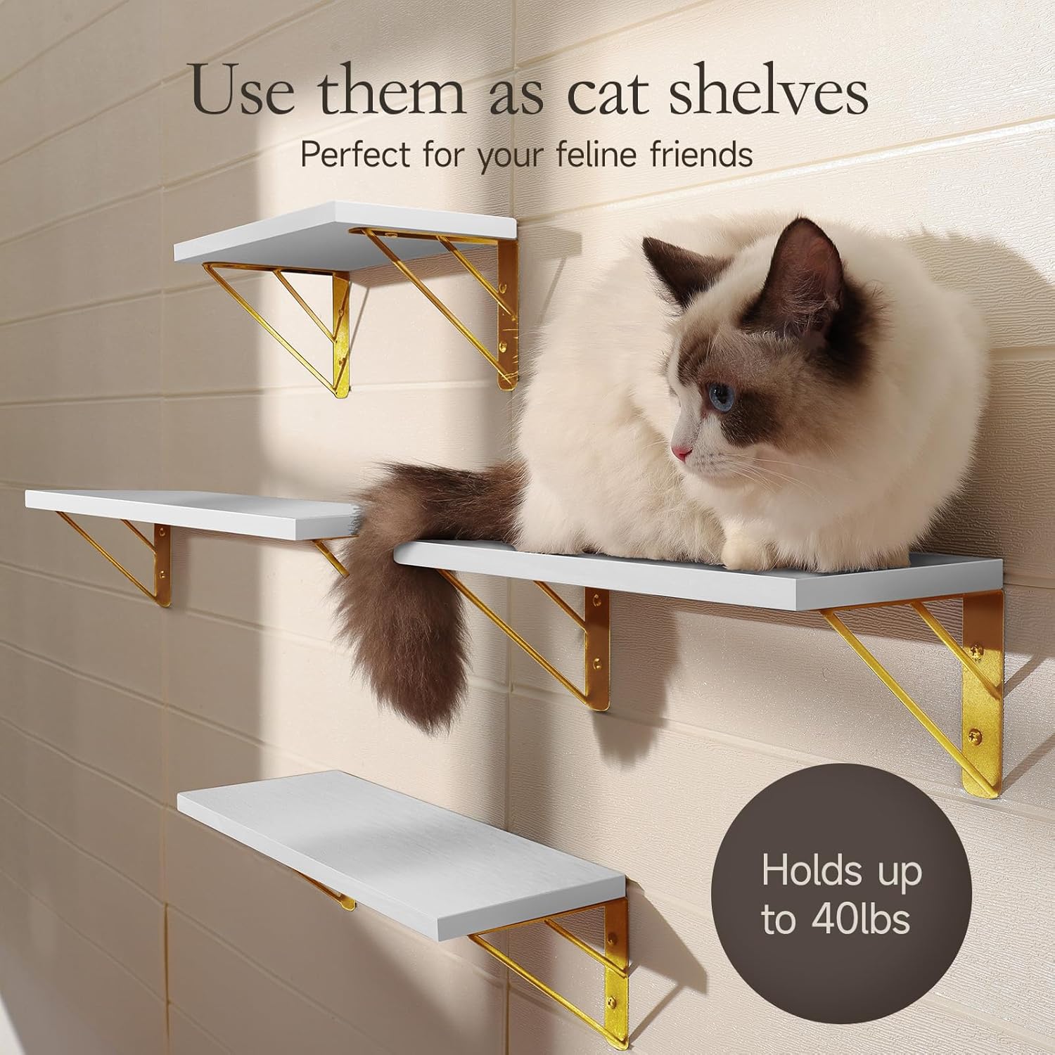 BAYKA | Floating Shelves | Set of 4 | White and Gold - aborderproducts