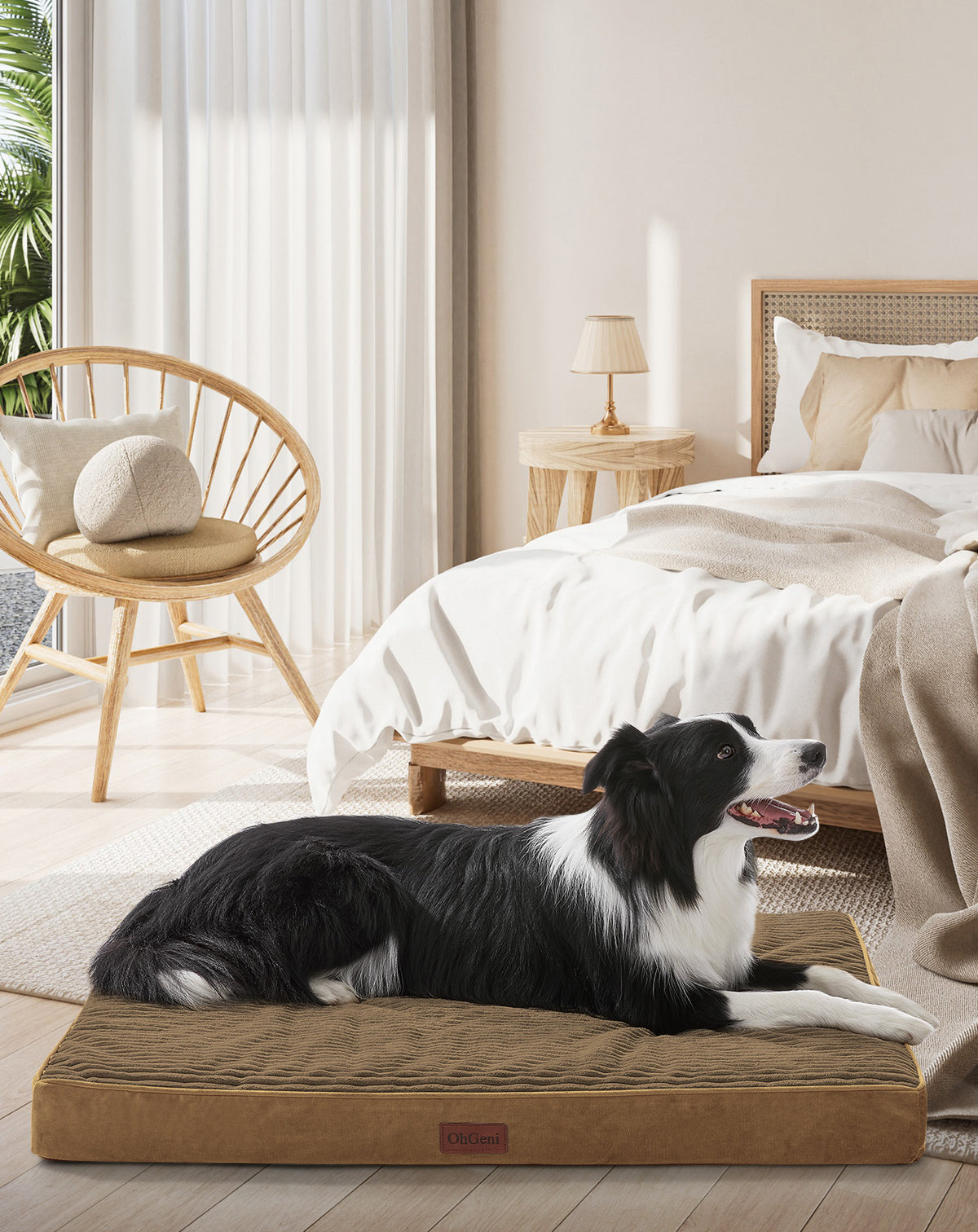 OhGeni | Orthopedic Waterproof & Machine Washable Dog Bed | 36 Inches | Coffee - aborderproducts