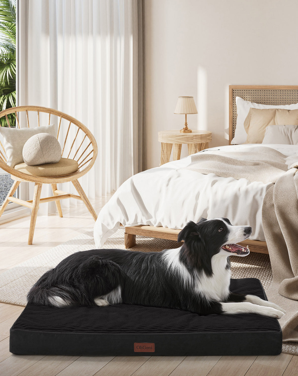 OhGeni| Orthopedic Waterproof & Machine Washable Dog Bed | 36 Inches | Black - aborderproducts