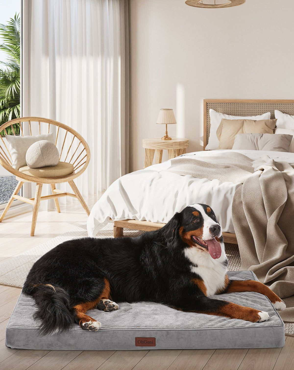 OhGeni | Flat Dog Bed | 47" | Gray - aborderproducts