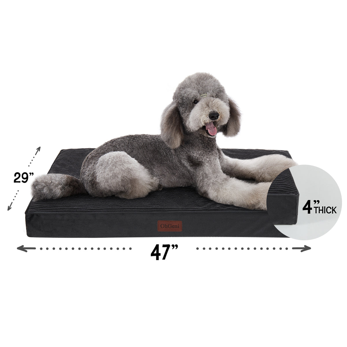 OhGeni | Flat Dog Bed | 47" | Black - aborderproducts