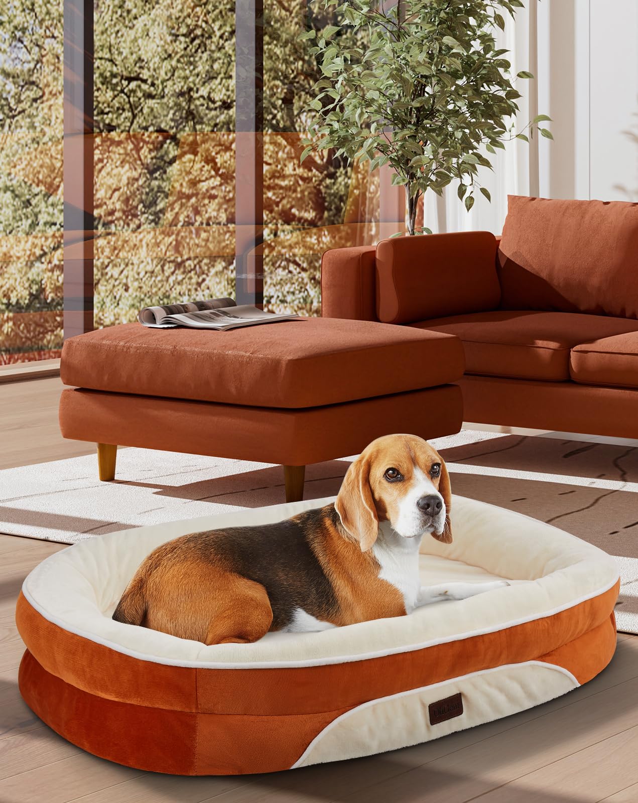 OhGeni | Orthopedic Dog Couch Bed | Large (35 x 28 x 6 Inch)| Orange - aborderproducts