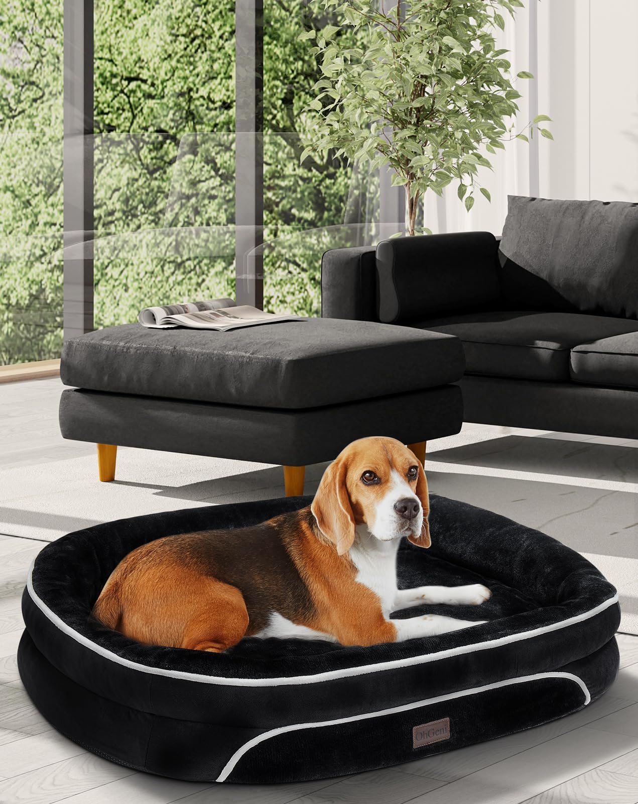 OhGeni | Orthopedic Dog Couch Bed | Large (35 x 28 x 6 Inch)| Black - aborderproducts
