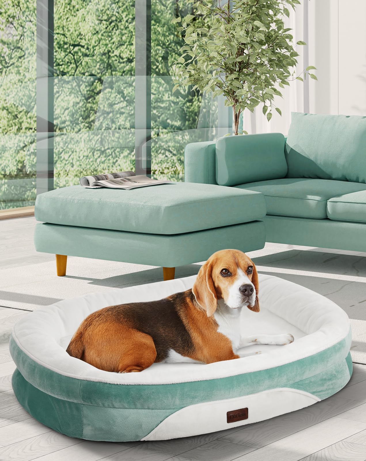 OhGeni | Orthopedic Dog Couch Bed | Large (35 x 28 x 6 Inch)| Turquoise - aborderproducts