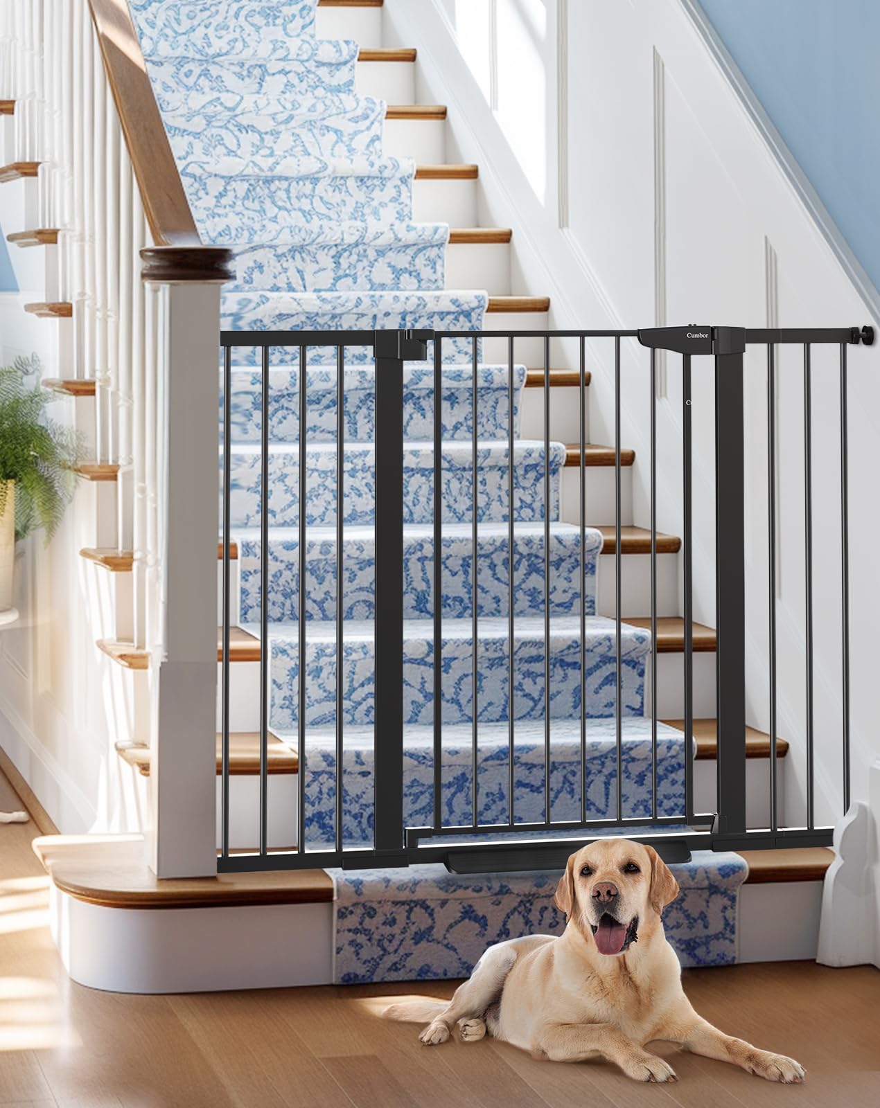 Cumbor | 29.7"-51.5" x 36" | Baby Gate Extra Wide | Black - aborderproducts