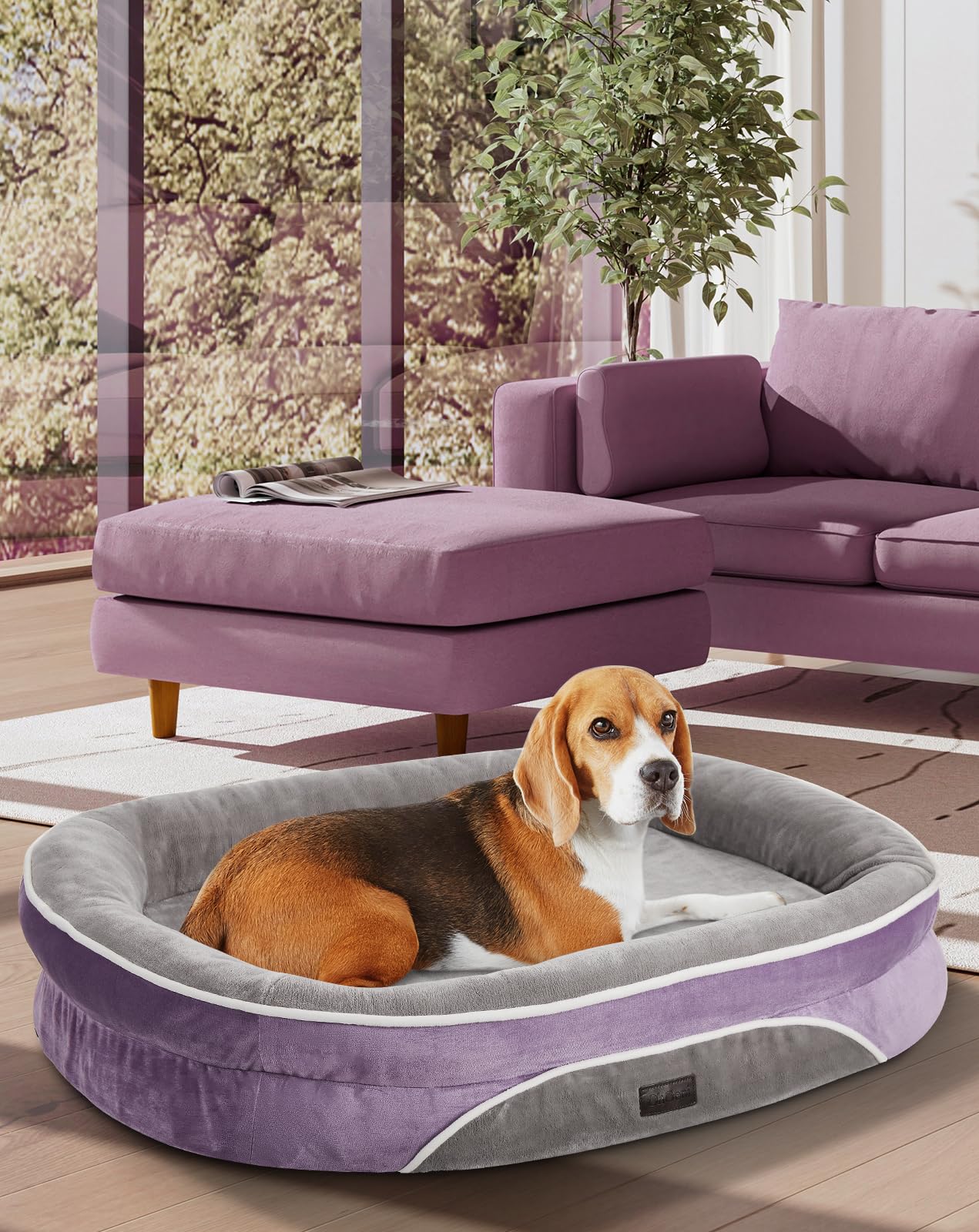 OhGeni | Orthopedic Dog Couch Bed | Large (35 x 28 x 6 Inch)| Purple - aborderproducts