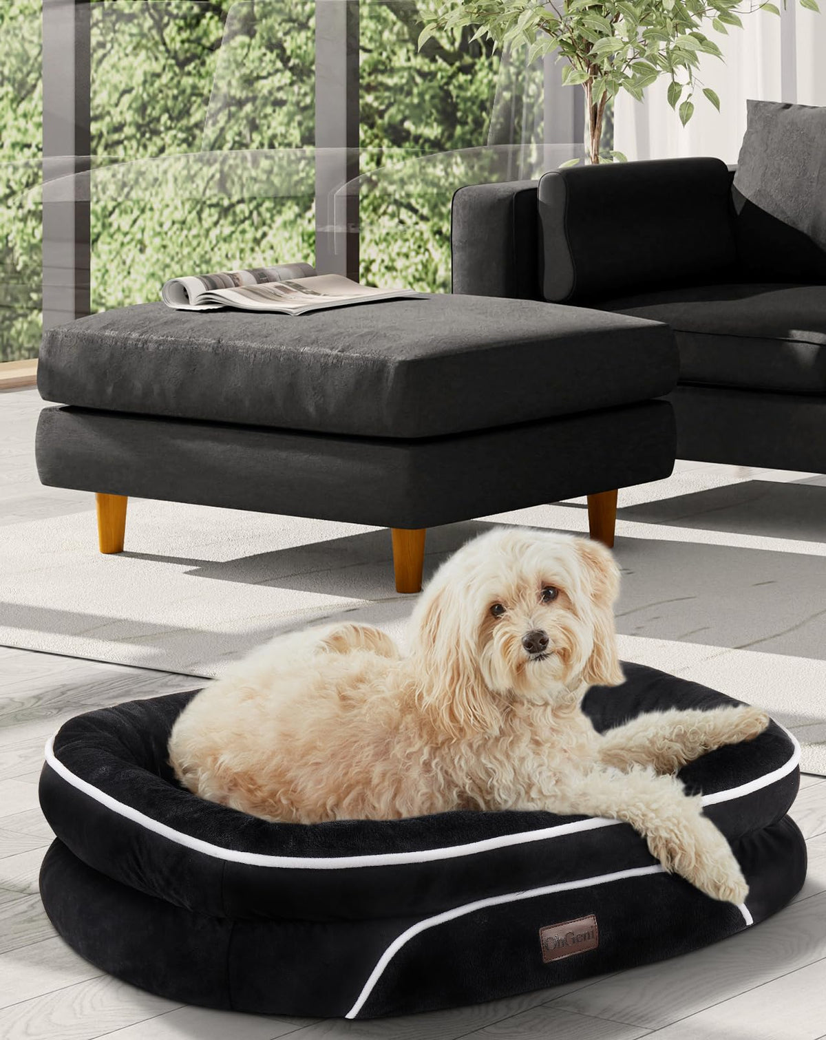 OhGeni | Orthopedic Dog Couch Bed | Medium (28 x 21 x 6 Inch)| Black - aborderproducts
