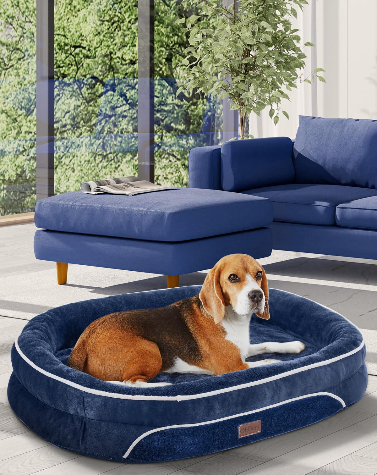 OhGeni | Orthopedic Dog Couch Bed | Large (35 x 28 x 6 Inch)| Blue - aborderproducts
