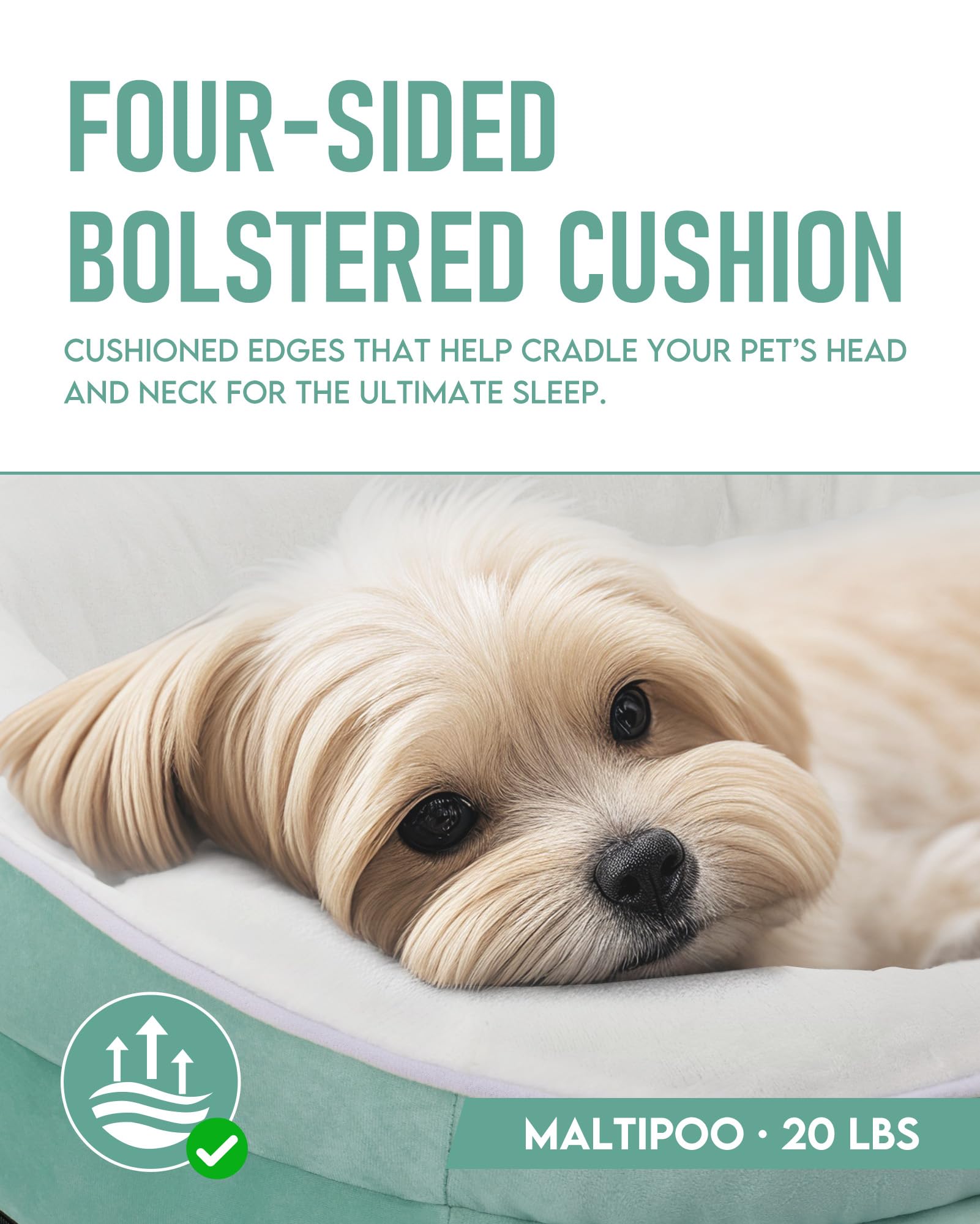 OhGeni | Orthopedic Dog Couch Bed | Medium (28 x 21 x 6 Inch)| Turquoise - aborderproducts