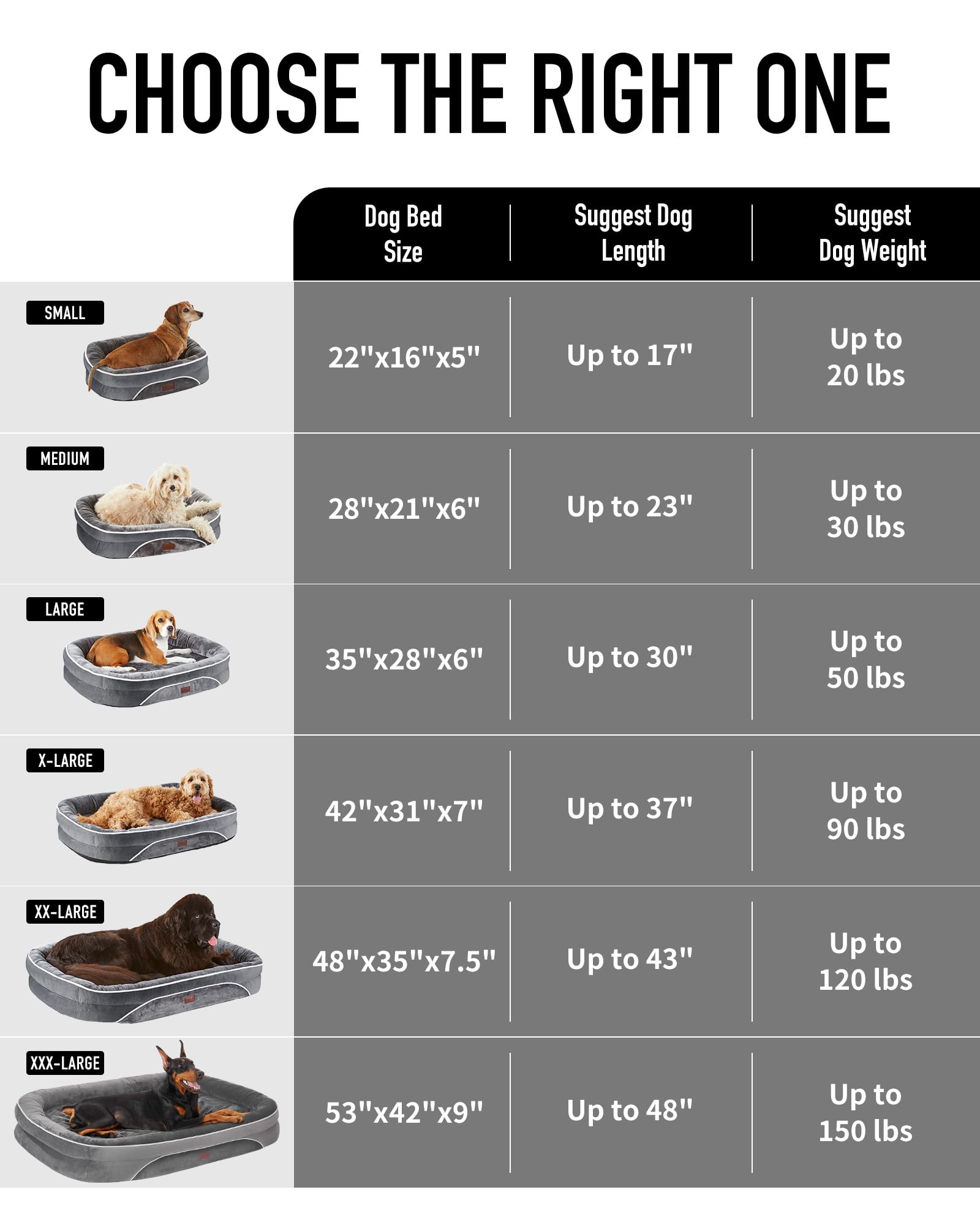 OhGeni | Orthopedic Dog Couch Bed | Large (35 x 28 x 6 Inch)| Black - aborderproducts