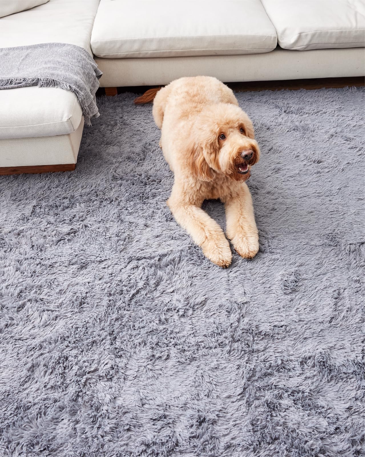 Ophanie Upgrade Fluffy Shaggy Soft Area Rug | Grey 8x10 - aborderproducts