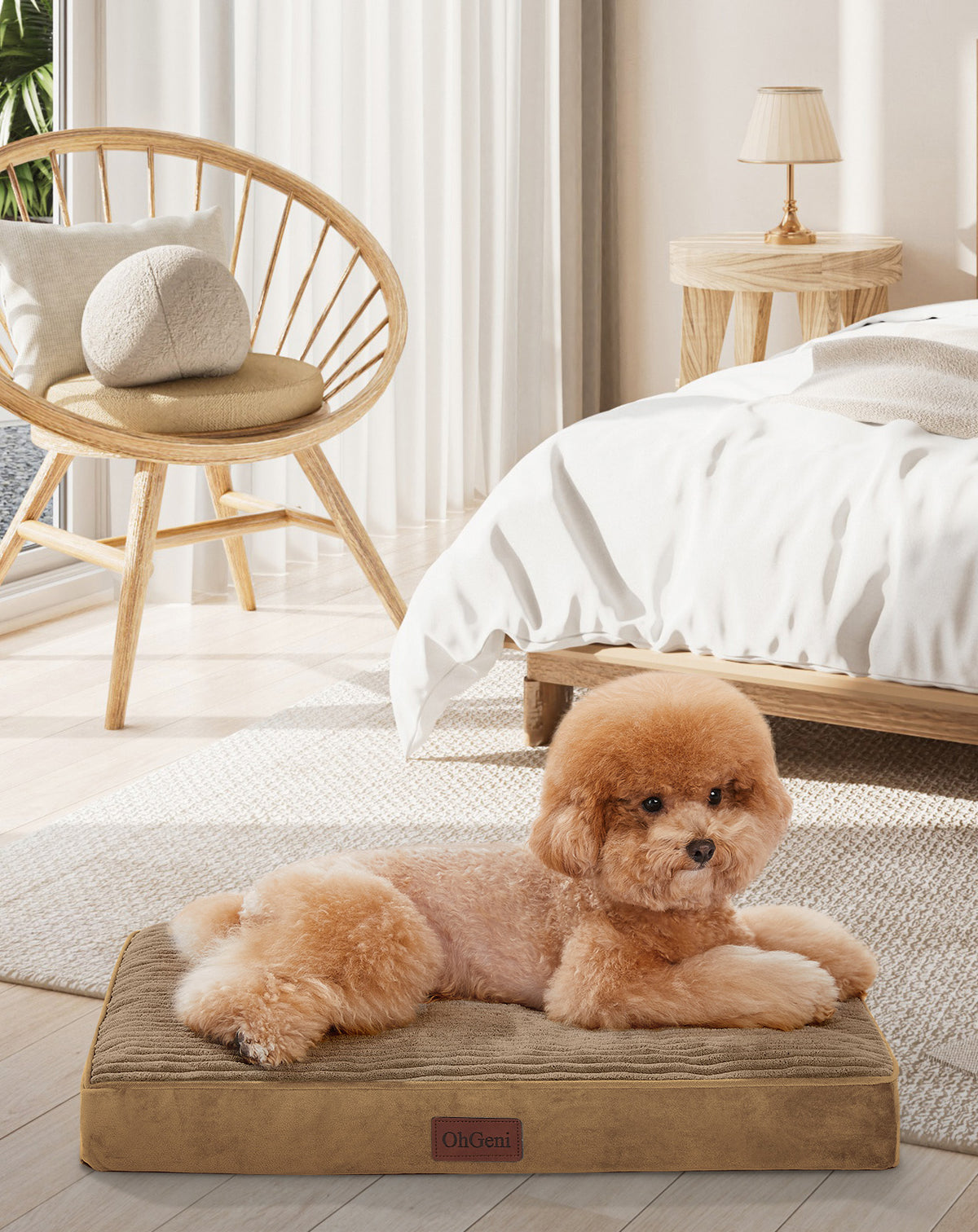 OhGeni | Orthopedic Waterproof & Machine Washable Dog Bed | 24 Inches | Coffee - aborderproducts