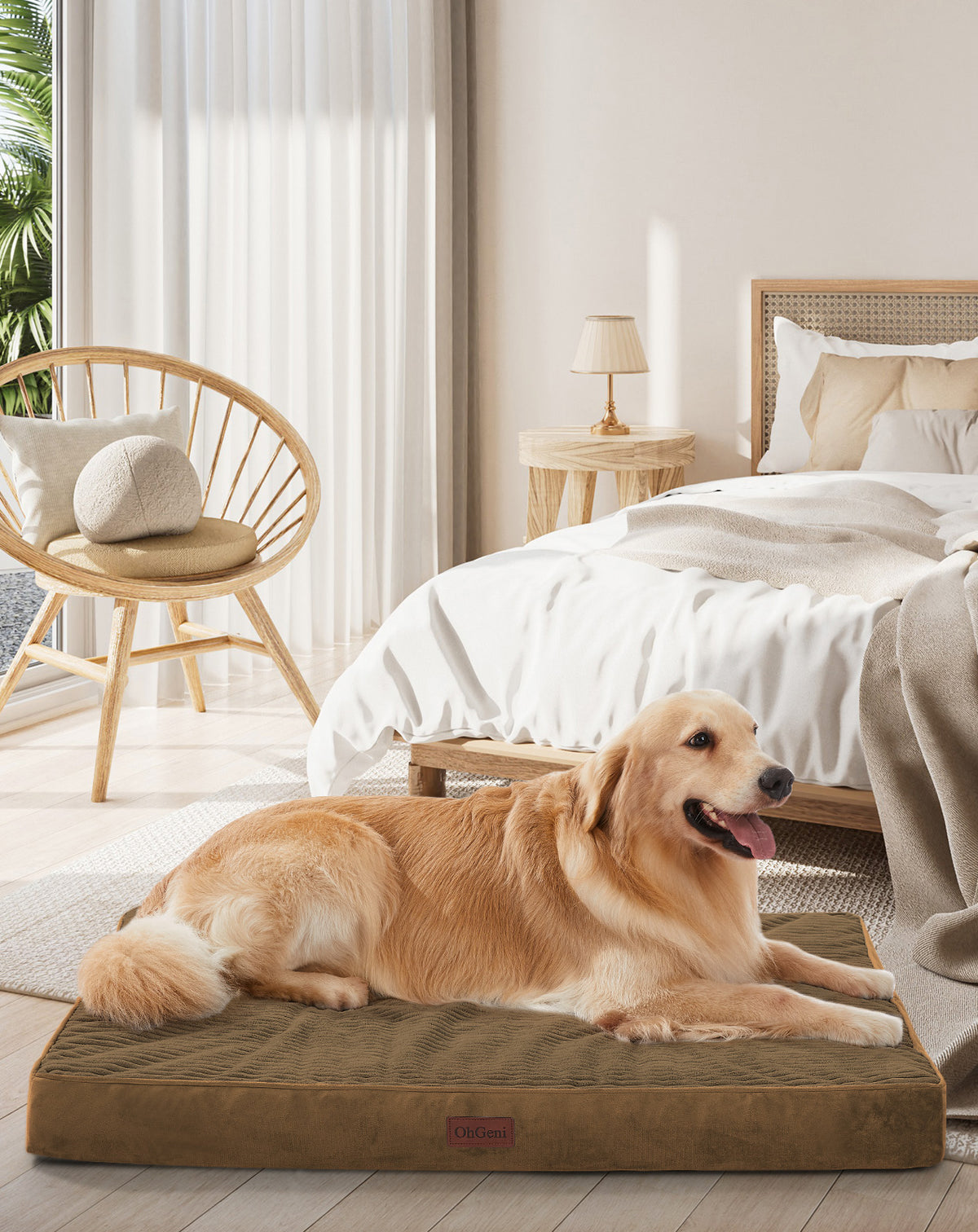 OhGeni | Orthopedic Waterproof & Machine Washable Dog Bed | 41 Inches | Coffee - aborderproducts