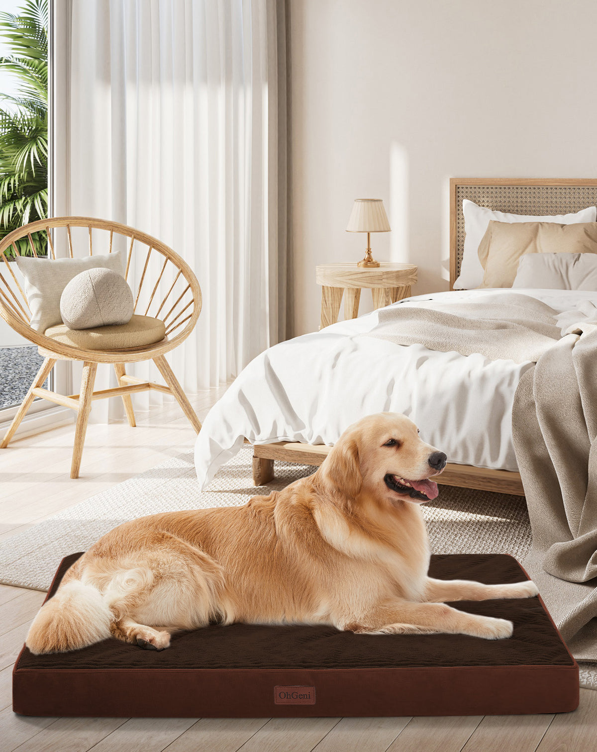 OhGeni | Orthopedic Waterproof & Machine Washable Dog Bed | 44 Inches | Brown - aborderproducts