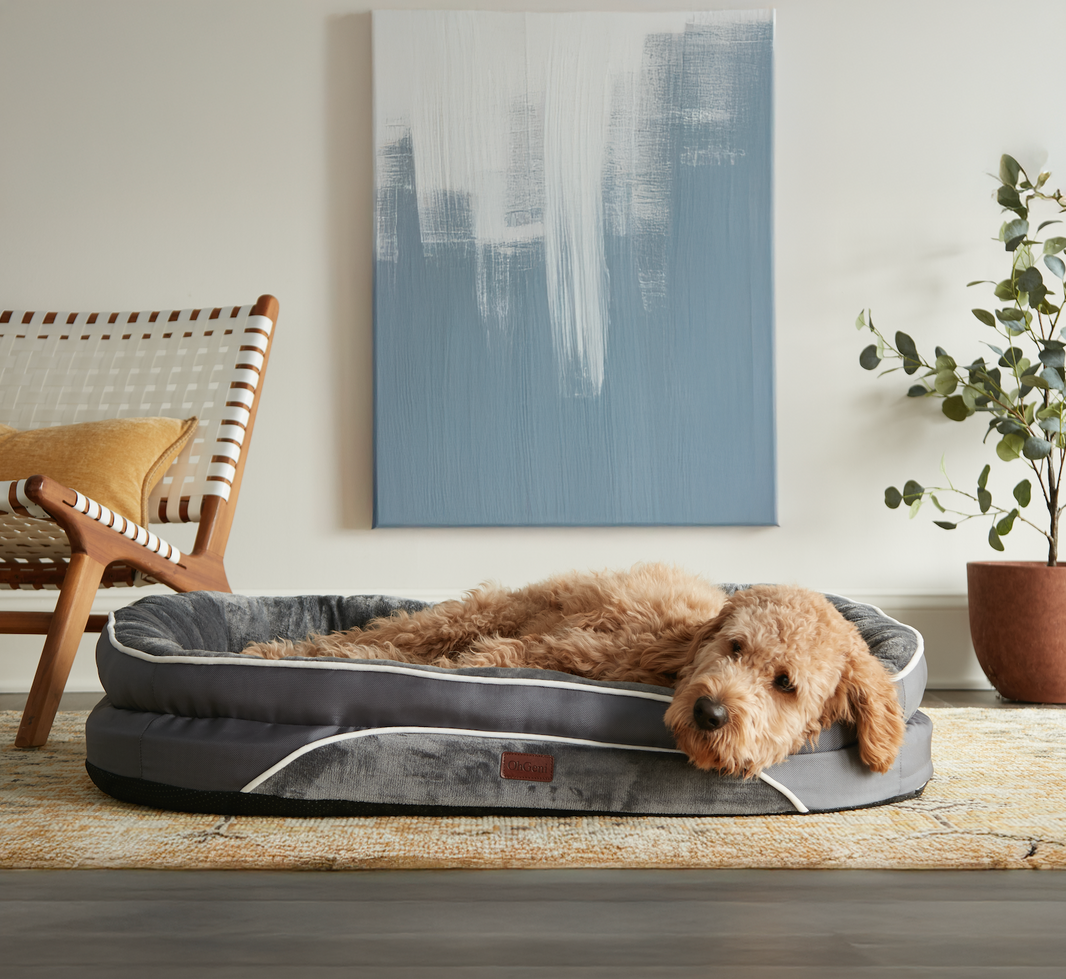 Choosing the Right OhGeni Pet Bed for Your Pet
