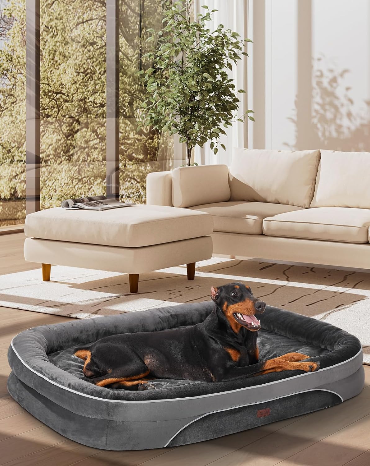 OhGeni | Orthopedic Dog Bed | XXX-Large (53 x 42 x 9 Inch) | Gray - aborderproducts