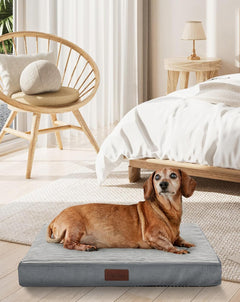 OhGeni | Orthopedic Waterproof Dog Bed | 24 Inch | Gray - aborderproducts
