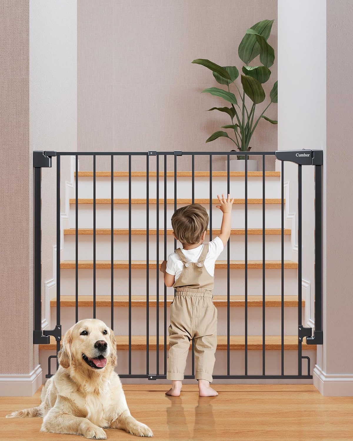 Cumbor | Safety Gate | No Bottom Bar | 34" x 29.2-43" | Black - aborderproducts