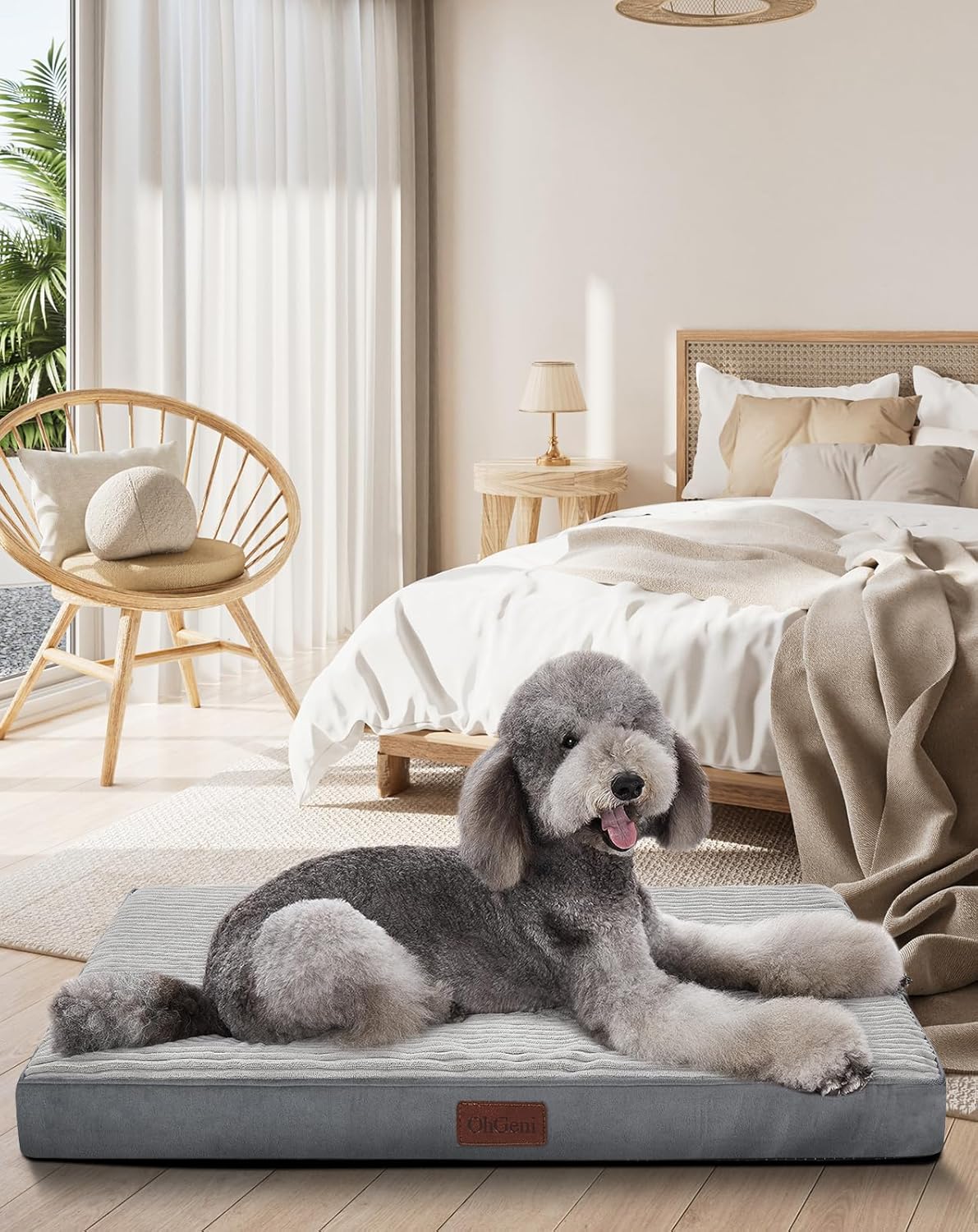 OhGeni | Dog Bed | 47 Inch | Gray - aborderproducts
