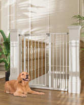 InnoTruth | Baby Gate | 28.9-42.1" W x 36" H | White