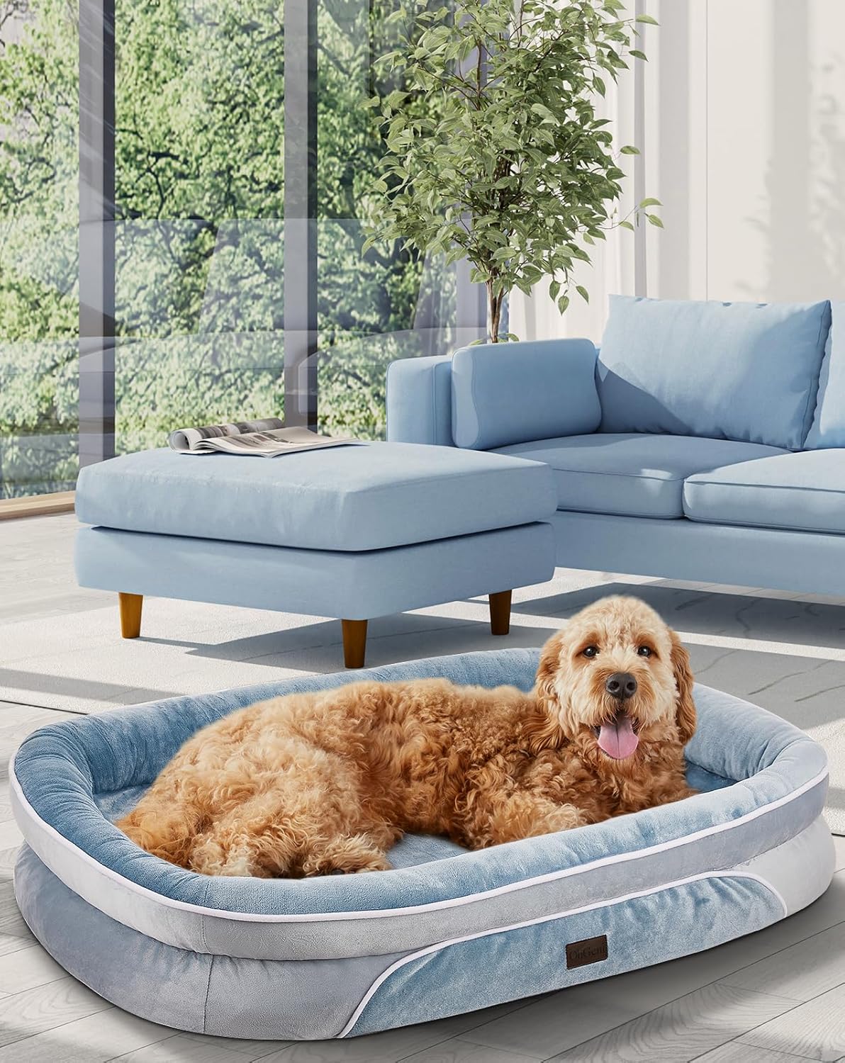 OhGeni | Orthopedic Dog Bed | X-Large (42 x 31 x 7 Inch) | Washed Blue - aborderproducts