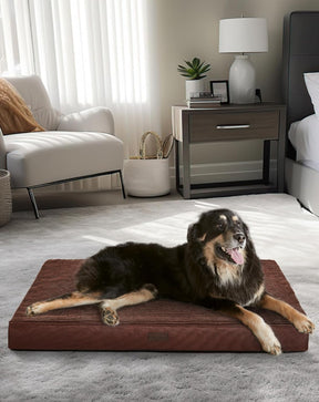 Orthopedic Dog Bed| X-Large (41 x 28 x 4 Inch)|Brown|OhGeni - aborderproducts