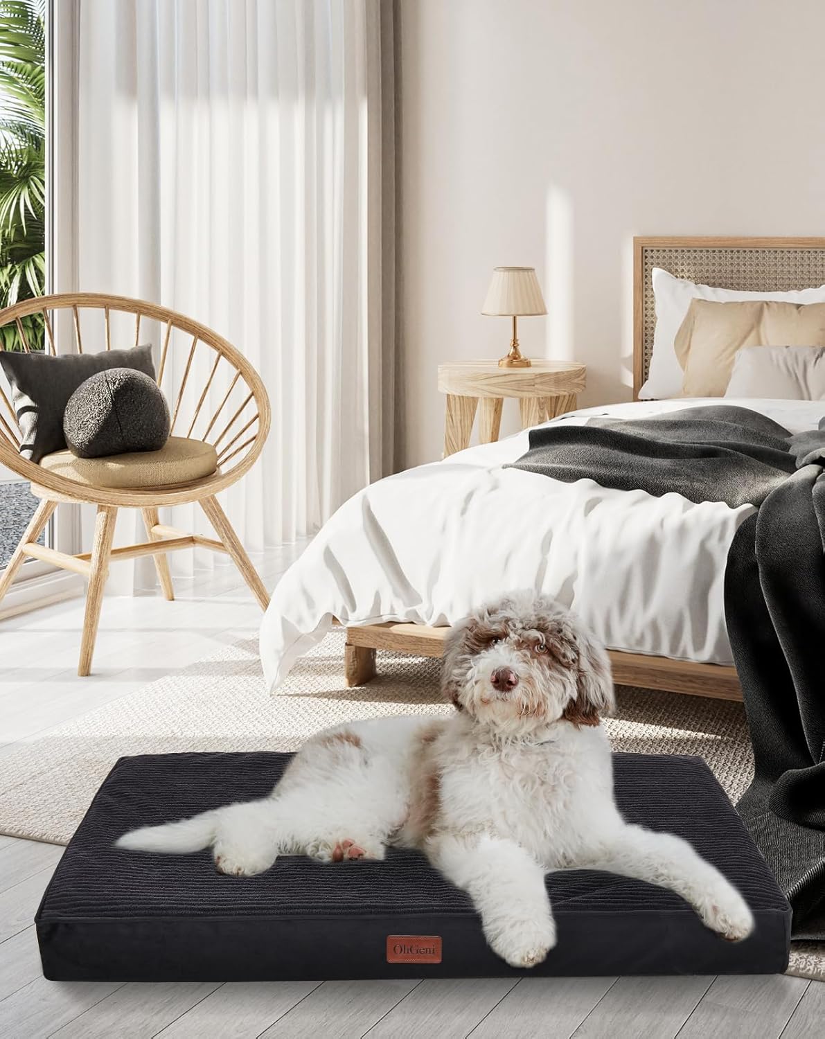 OhGeni | Dog Bed | 35 Inch | Black - aborderproducts