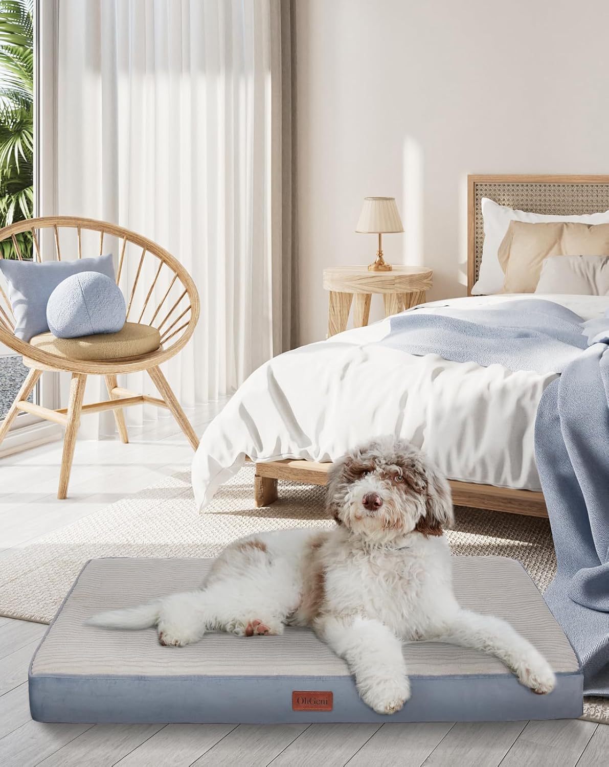 OhGeni | Dog Bed | 35 Inch | Spa Blue - aborderproducts