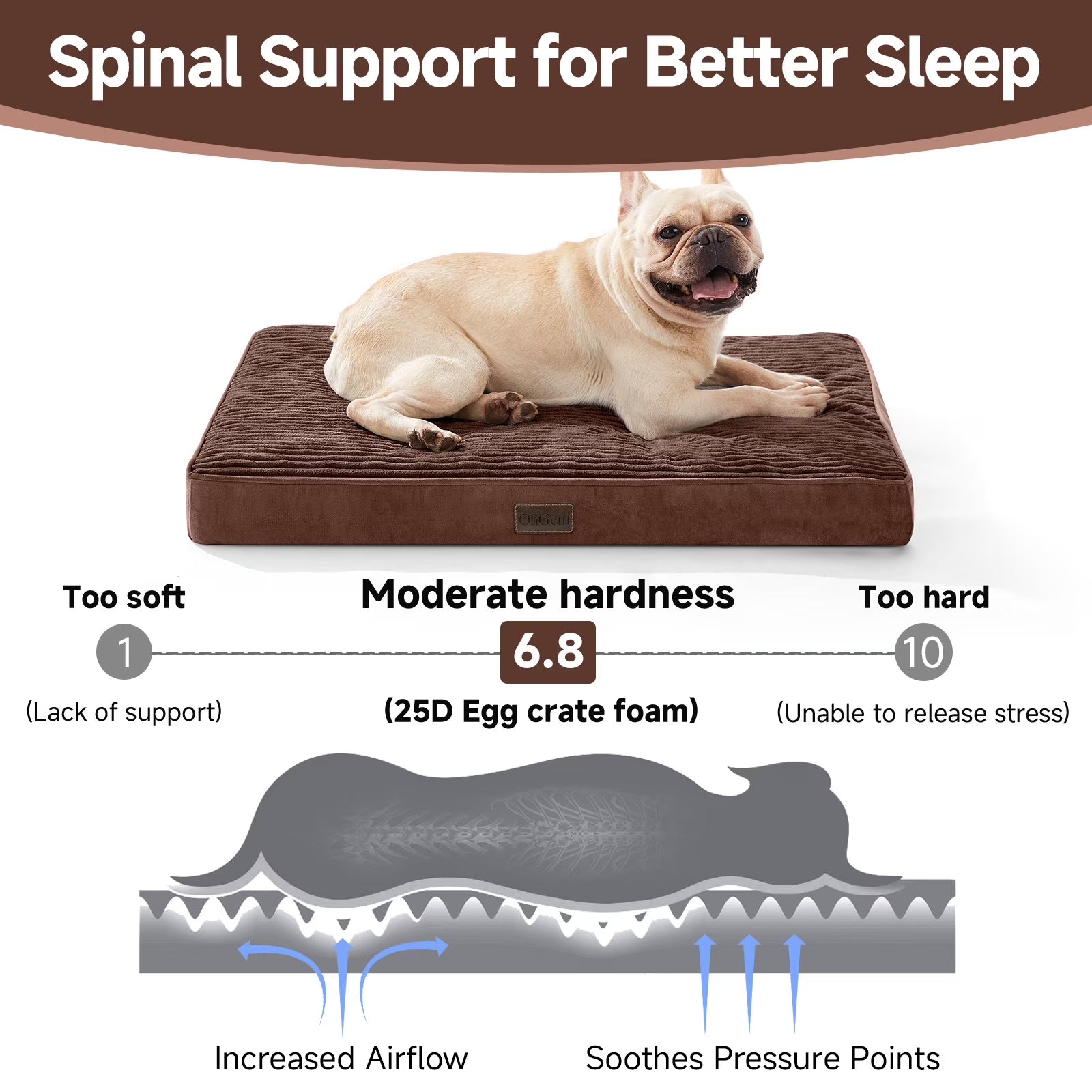 OhGeni Orthopedic Medium Dog Bed 30in, Deluxe Cat Bed for Crates, Waterproof and Washable, 25D Egg Crate Foam Pad Anti-Slip Sleeping Mat for Medium, Small Pets Breeds, 30" x 20", Brown - aborderproducts