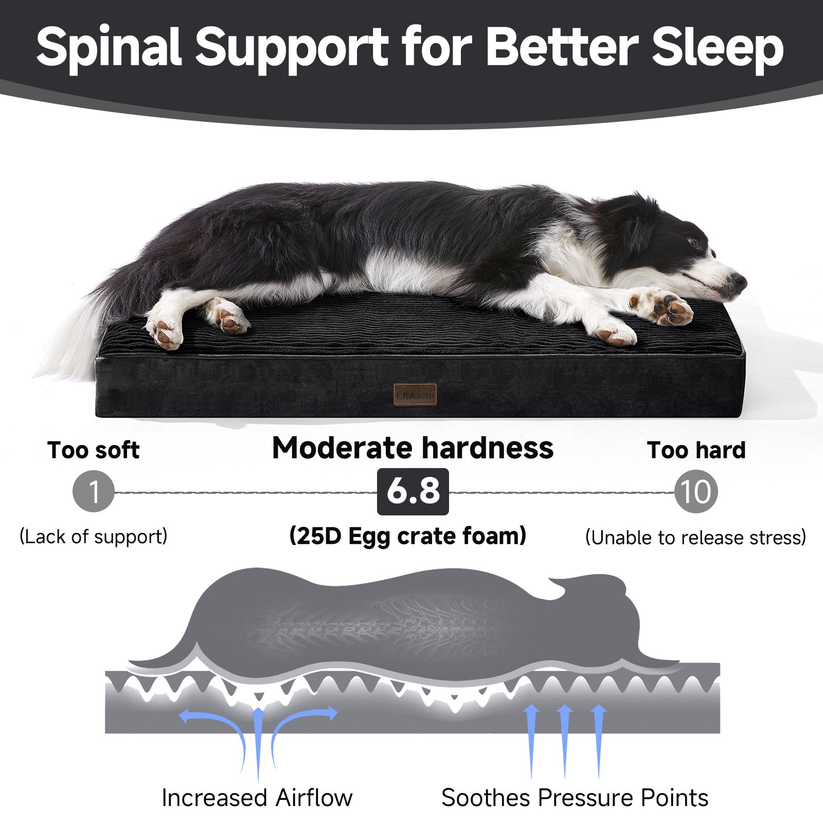 OhGeni| Orthopedic Waterproof & Machine Washable Dog Bed | 36 Inches | Black - aborderproducts