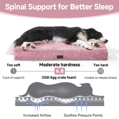 OhGeni | Orthopedic Waterproof & Machine Washable Dog Bed | 36 Inches | Pink - aborderproducts